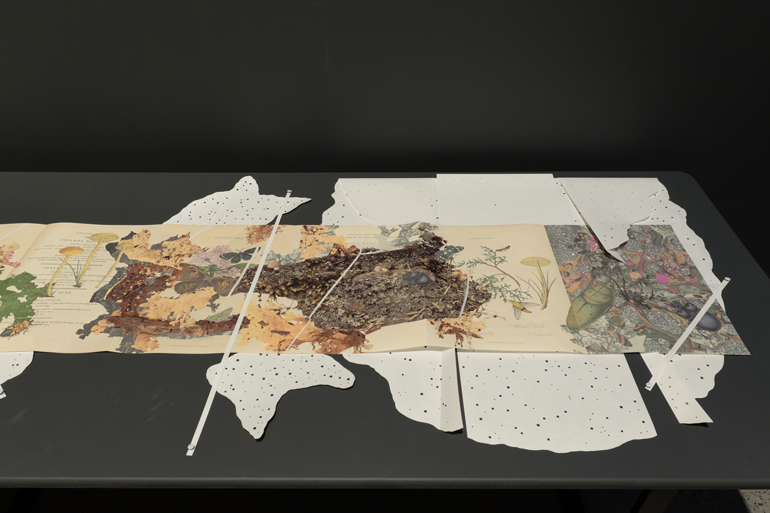 Gracia Haby_Louise Jennison_Can we dream it_02.png