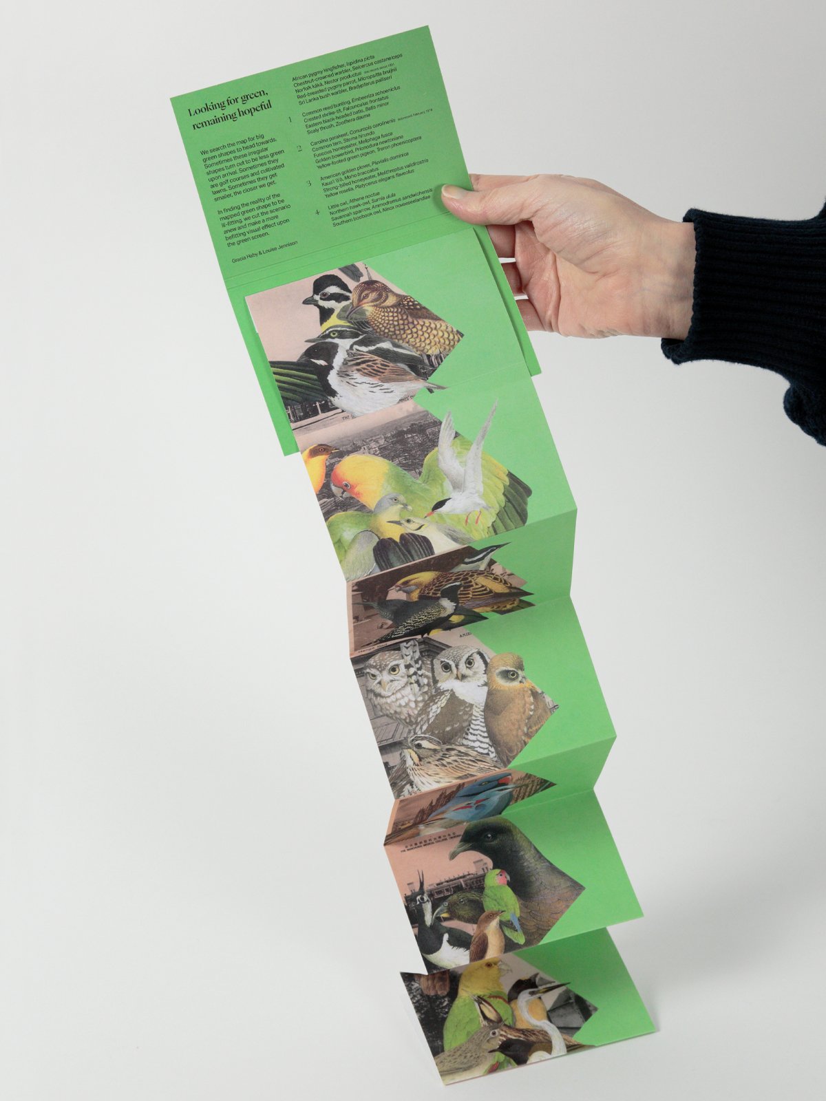 Gracia Haby Louise Jennison_NGV_zine workshop 2026_06.jpg