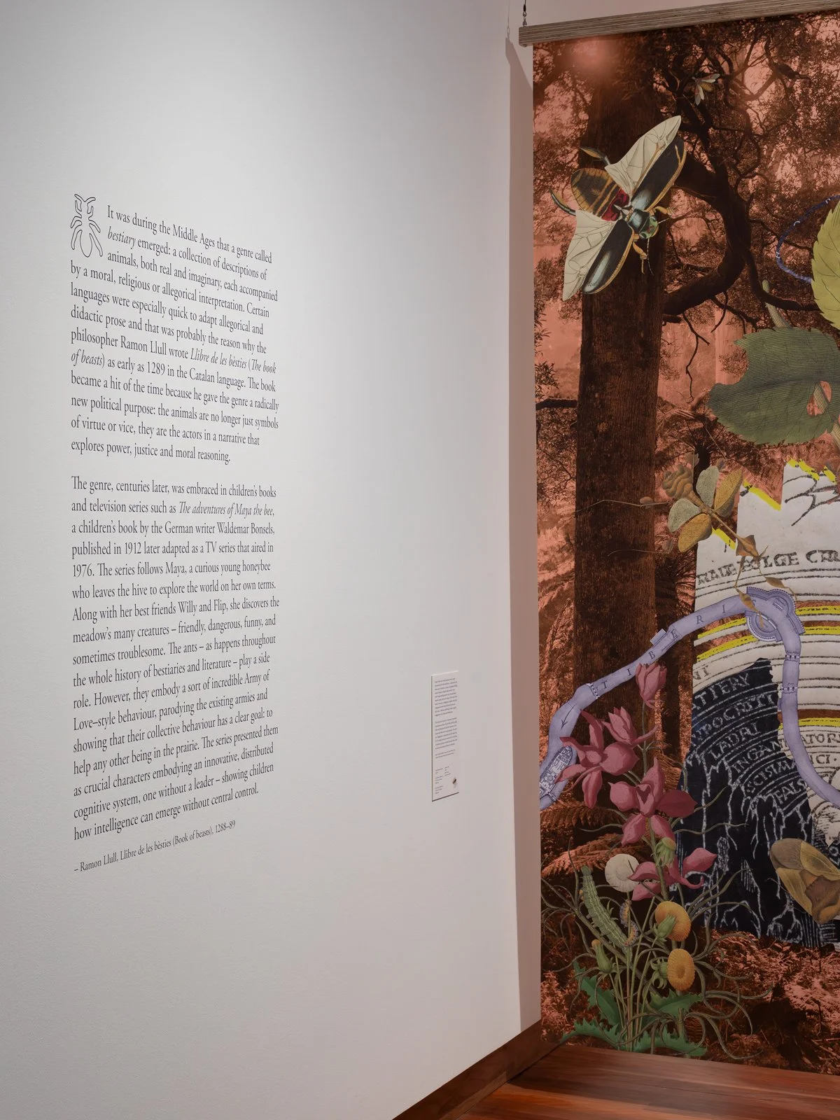 Gracia Haby Louise Jennison A Velvet ant_Potter Museum of Art commission 2026_10.jpg