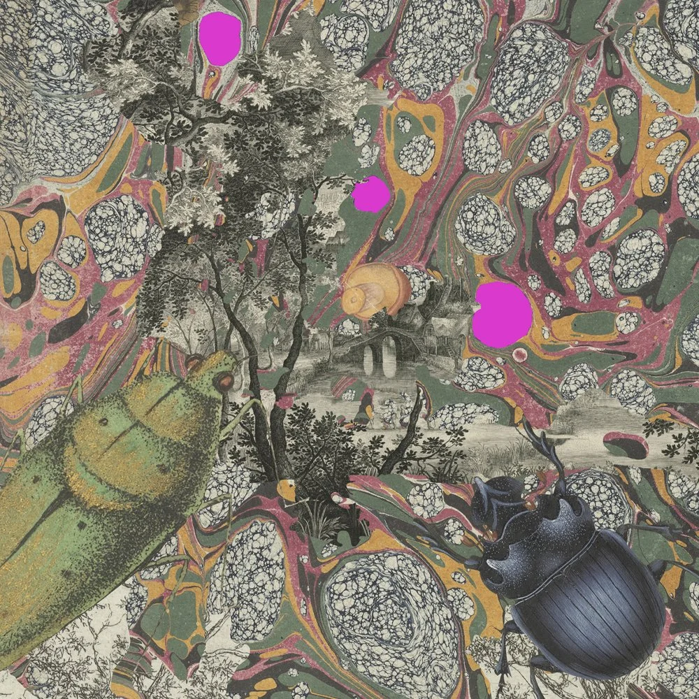 Gracia_Haby_Louise_Jennison_Lantern Bugs 2026_09.jpg
