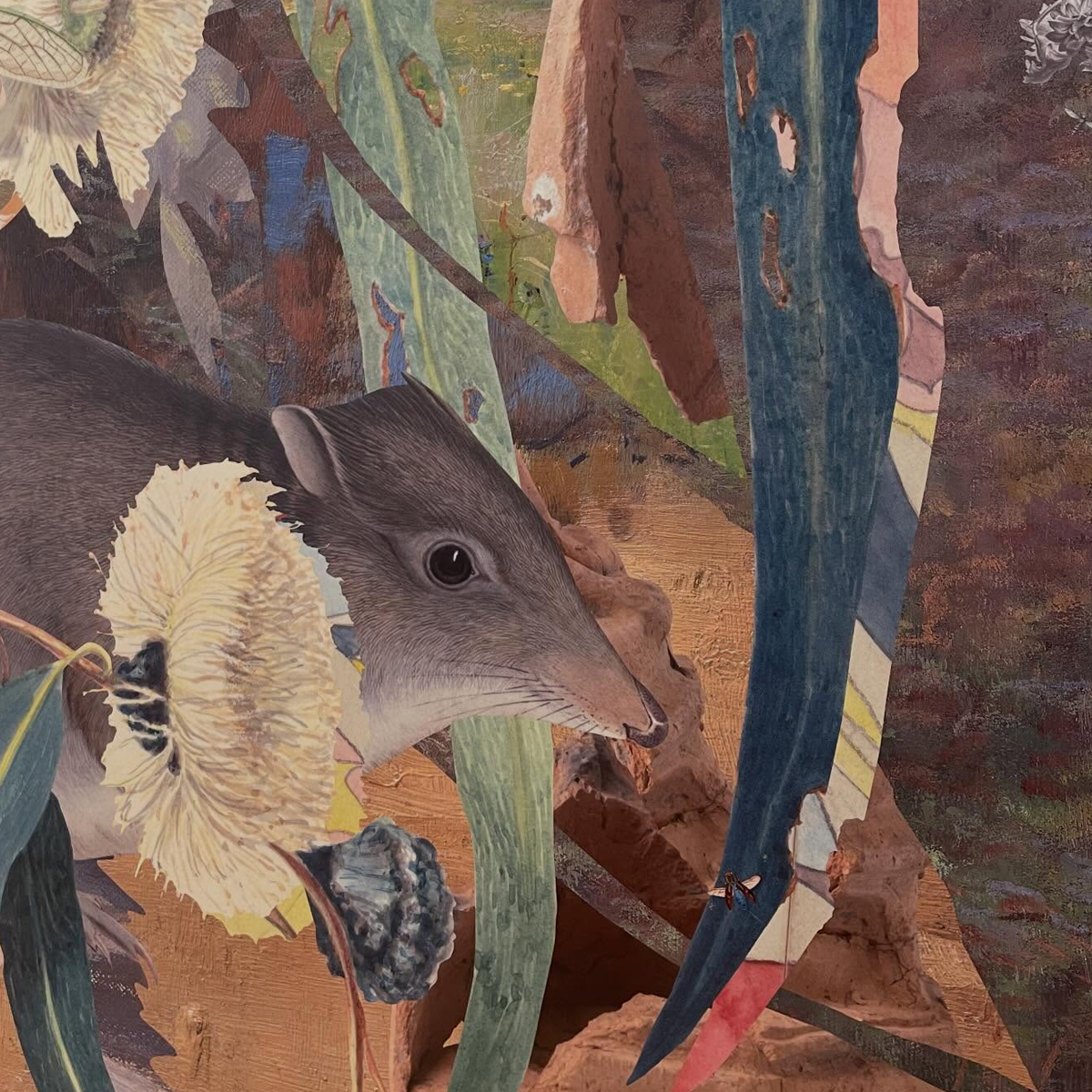 Gracia Haby_Louise Jennison_Slow Read_deatil 2026_02.png