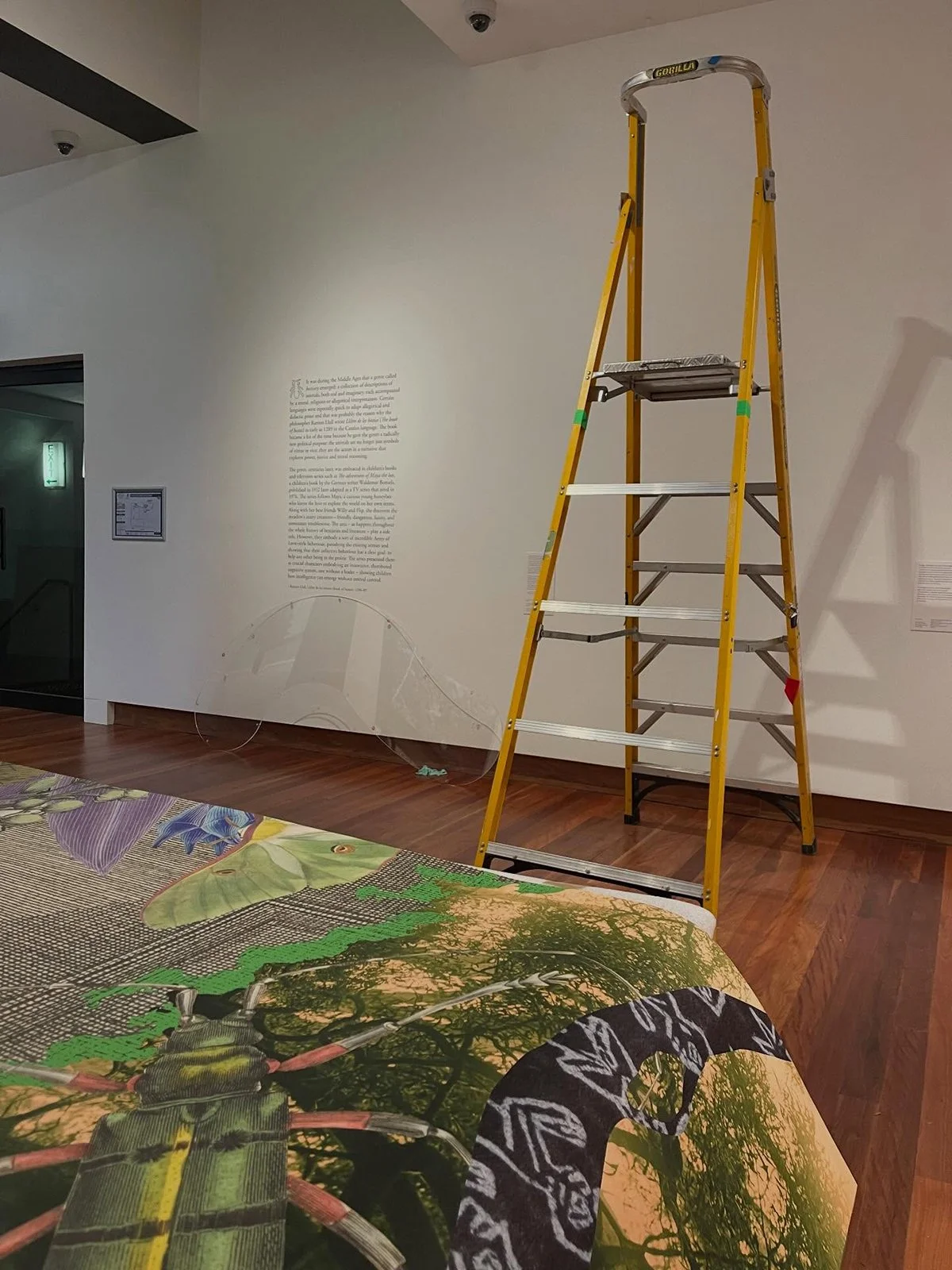 Gracia Haby and Louise Jennison_Velvet Ant deinstall 08.jpg