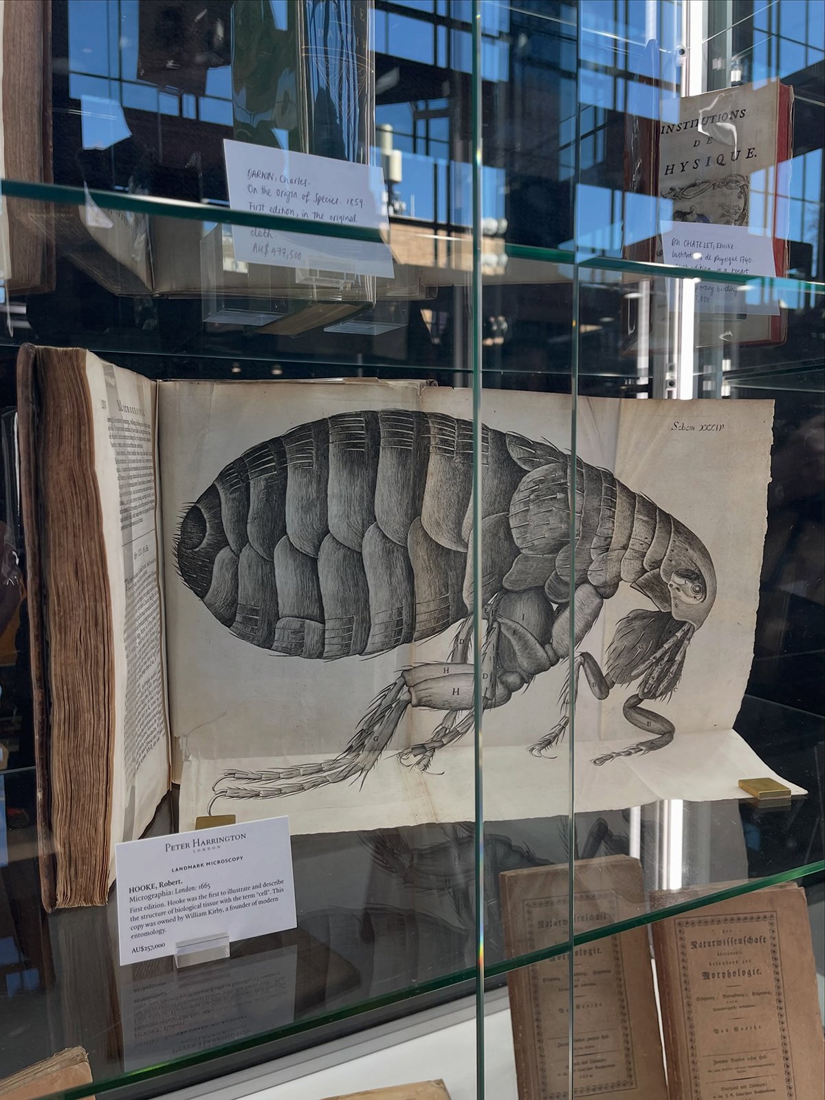 GraciaHaby_LouiseJennison_Rare Book Fair 2026_03.jpg