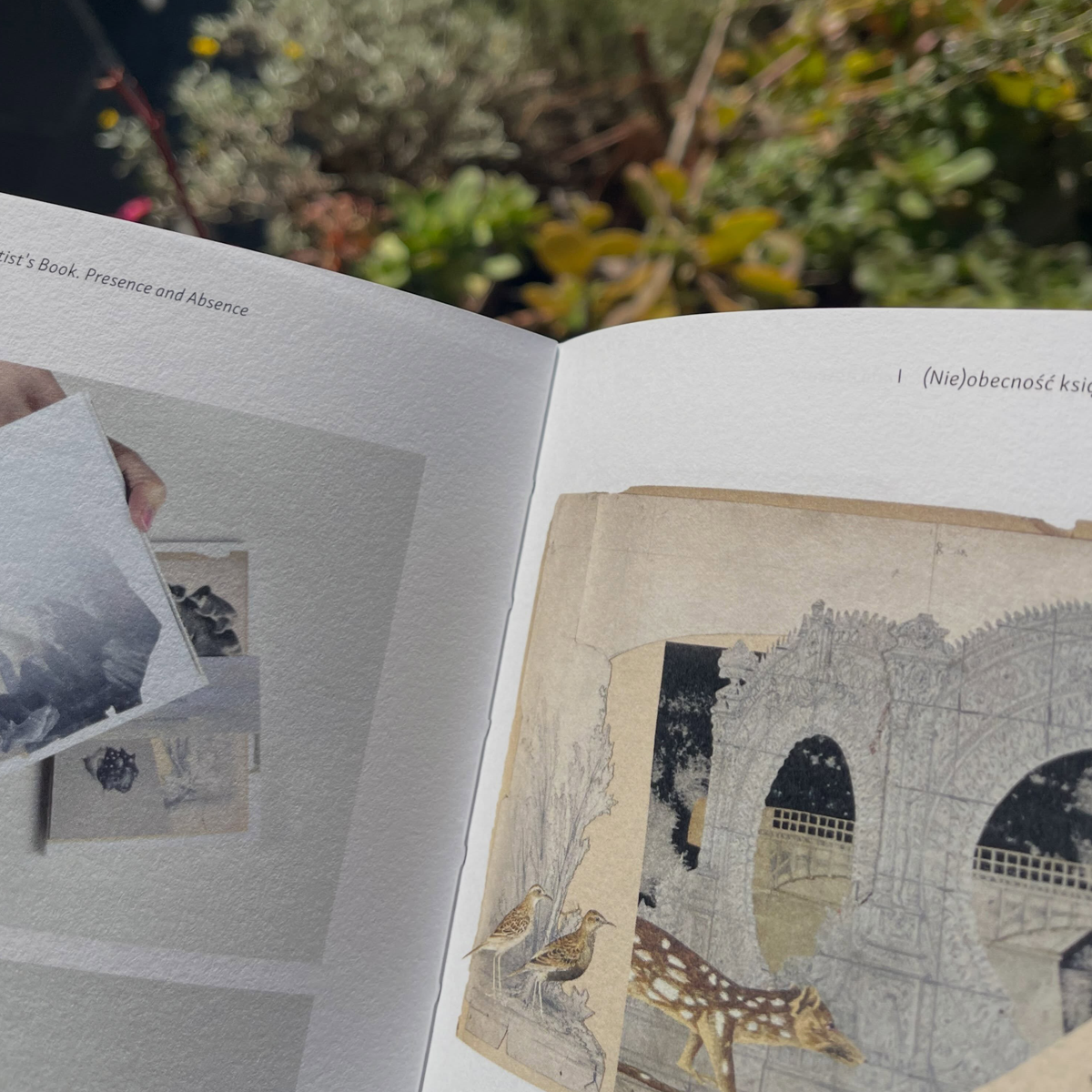 Gracia Haby_Louise Jennison_Sarah Bodman artists book 2026 01.png