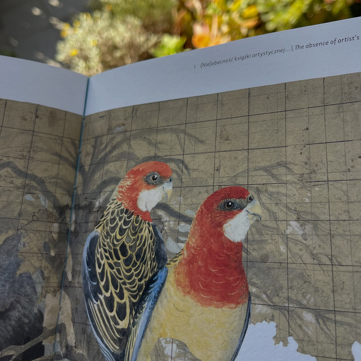 Gracia Haby_Louise Jennison_Sarah Bodman artists book 2026 04.png