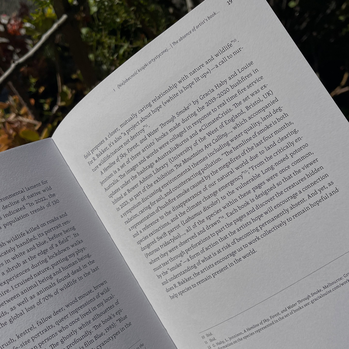Gracia Haby_Louise Jennison_Sarah Bodman artists book 2026 05.png