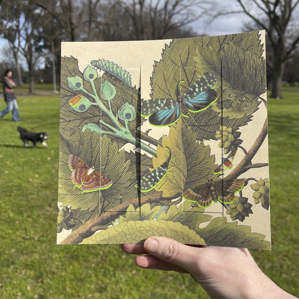 ARTISTS' PRINT: LOOK TO GAIN A NEW WAY OF KNOWING