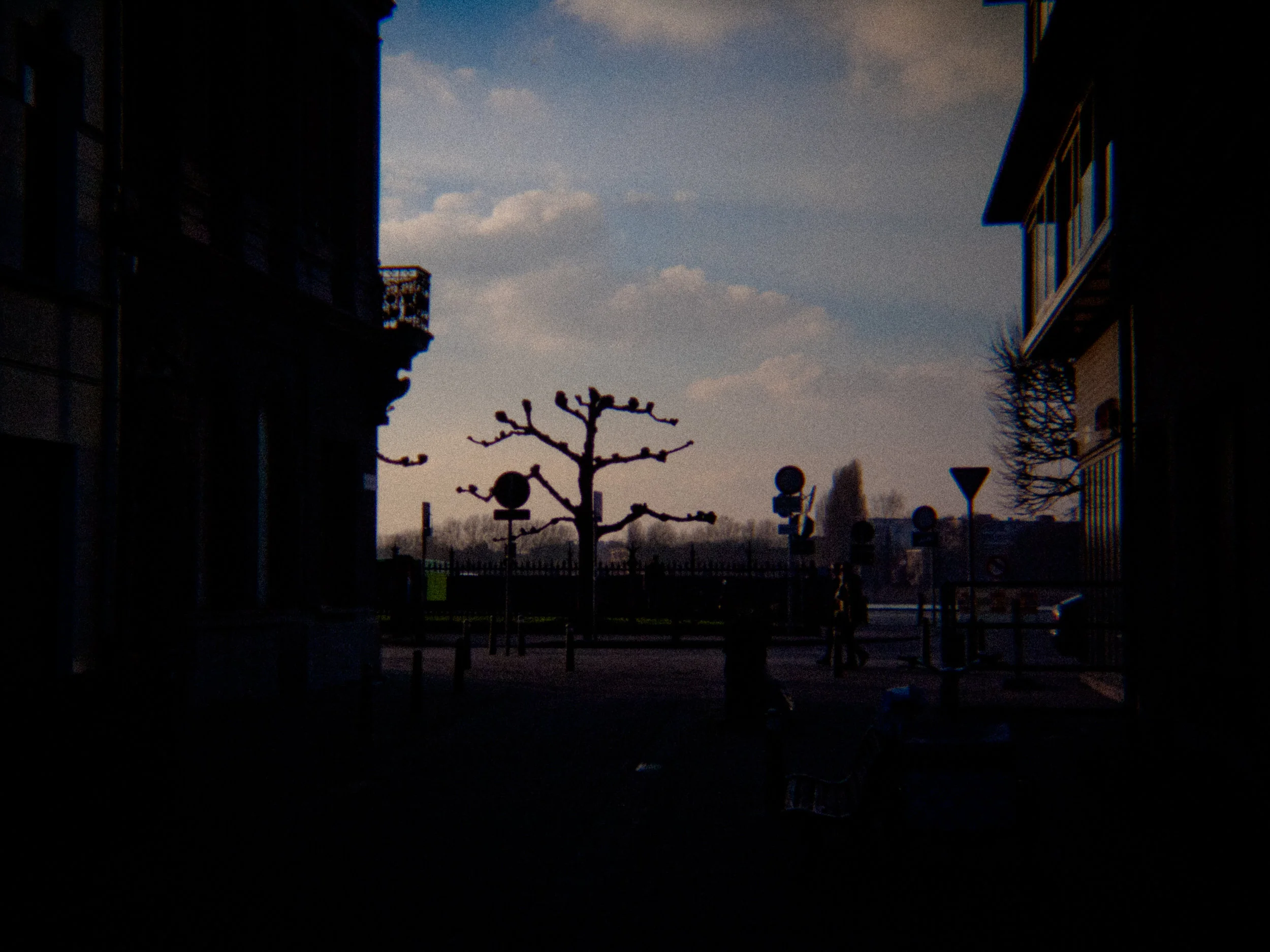 P2184964.jpg