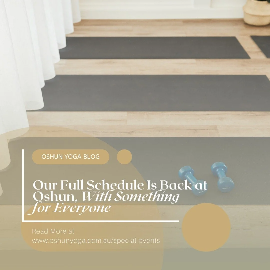 Our Full Schedule Is Back at Oshun, With Something for Everyone