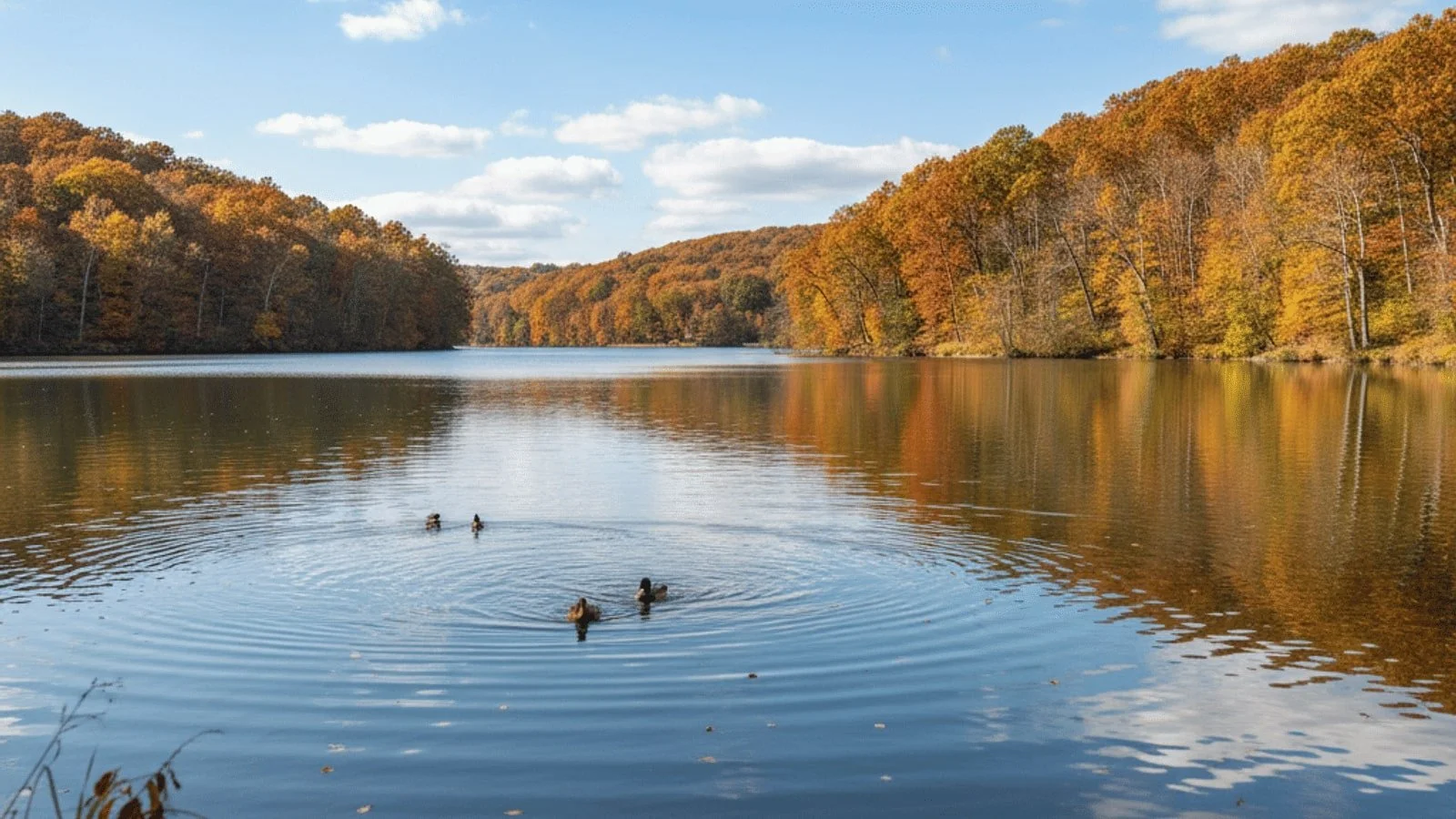 Gaithersburg vs. Germantown: Which Montgomery County Hub Should You Call Home?
