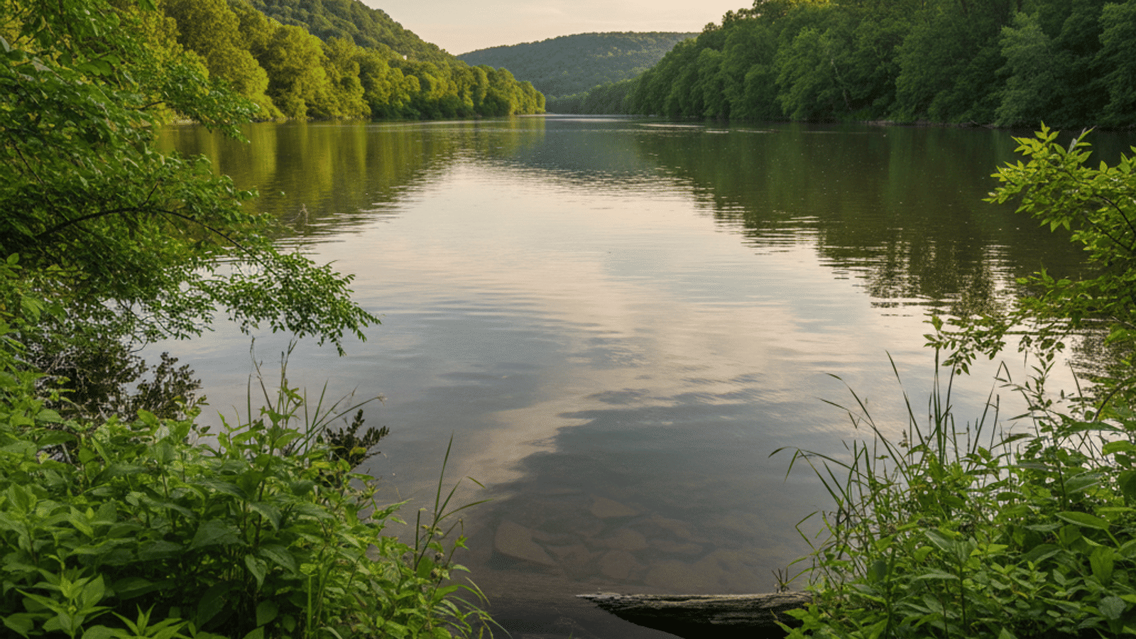 Silver Spring vs. Potomac, MD: Which Montgomery County Hotspot Fits Your Lifestyle Best?