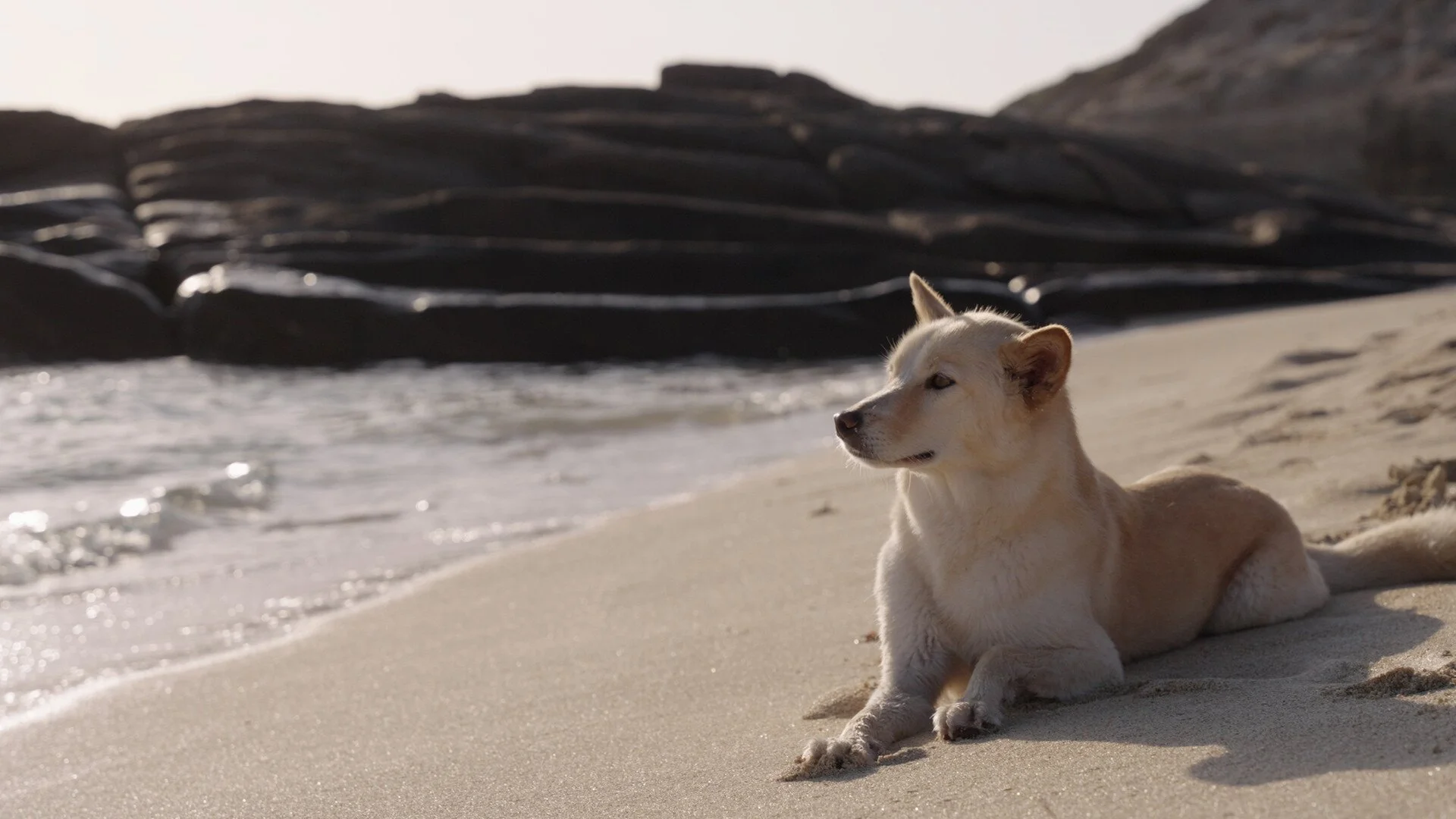 Mallee_beach_still_.jpg