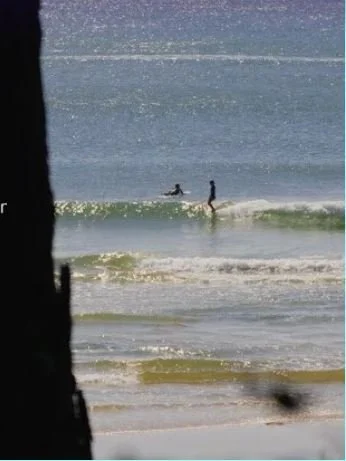 Two surfers enjoy small waves on a calm ocean beneath a clear sky, with a silhouette of a tree trunk framing the left side of the image.