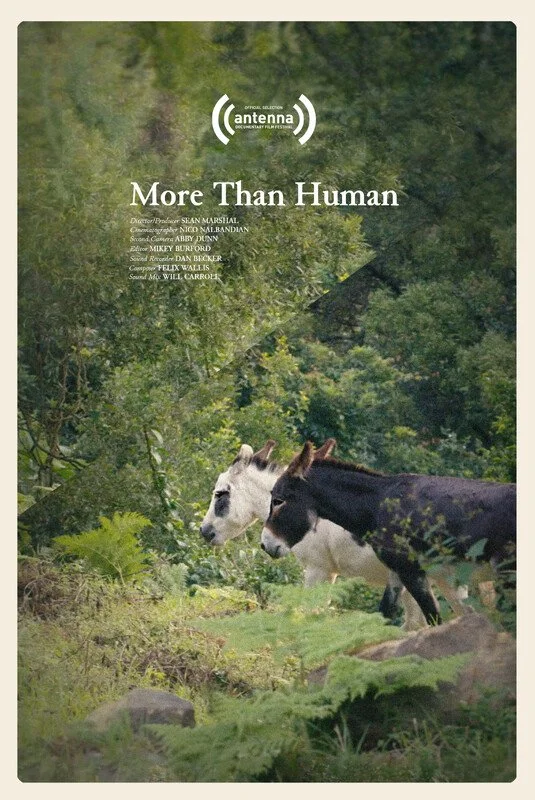 5215367620-poster.jpg