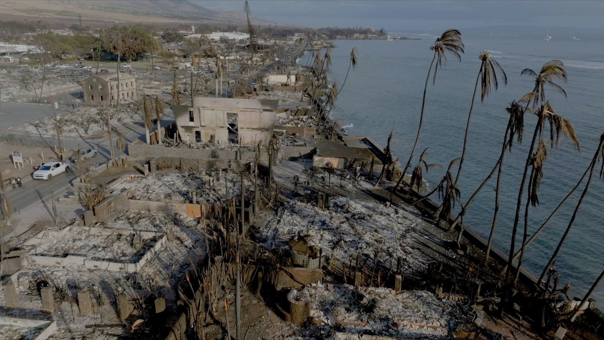 TIP-_Drone_Lahaina_ruins.jpg