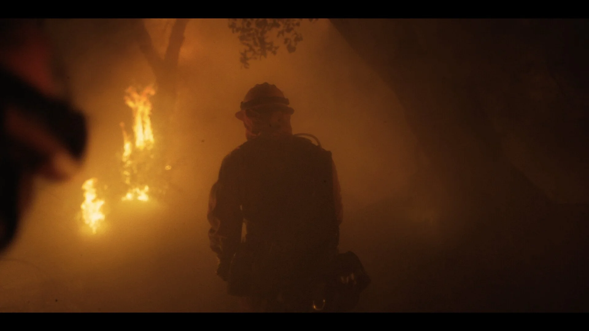 Fireline9.jpg