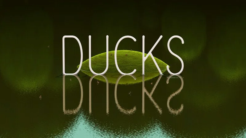 DUCKS