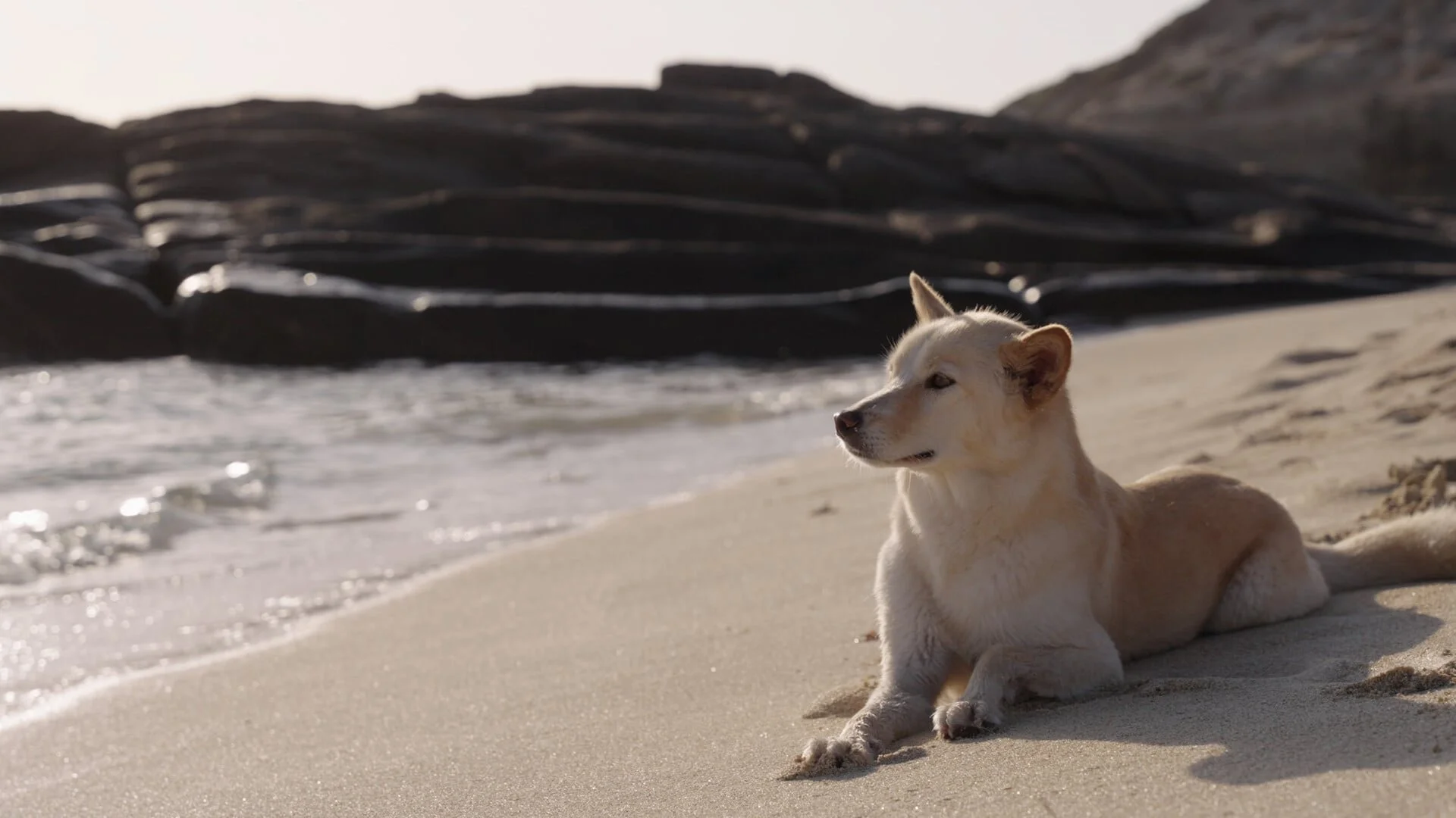 Photo 1 Mallee_beach_still_.jpg