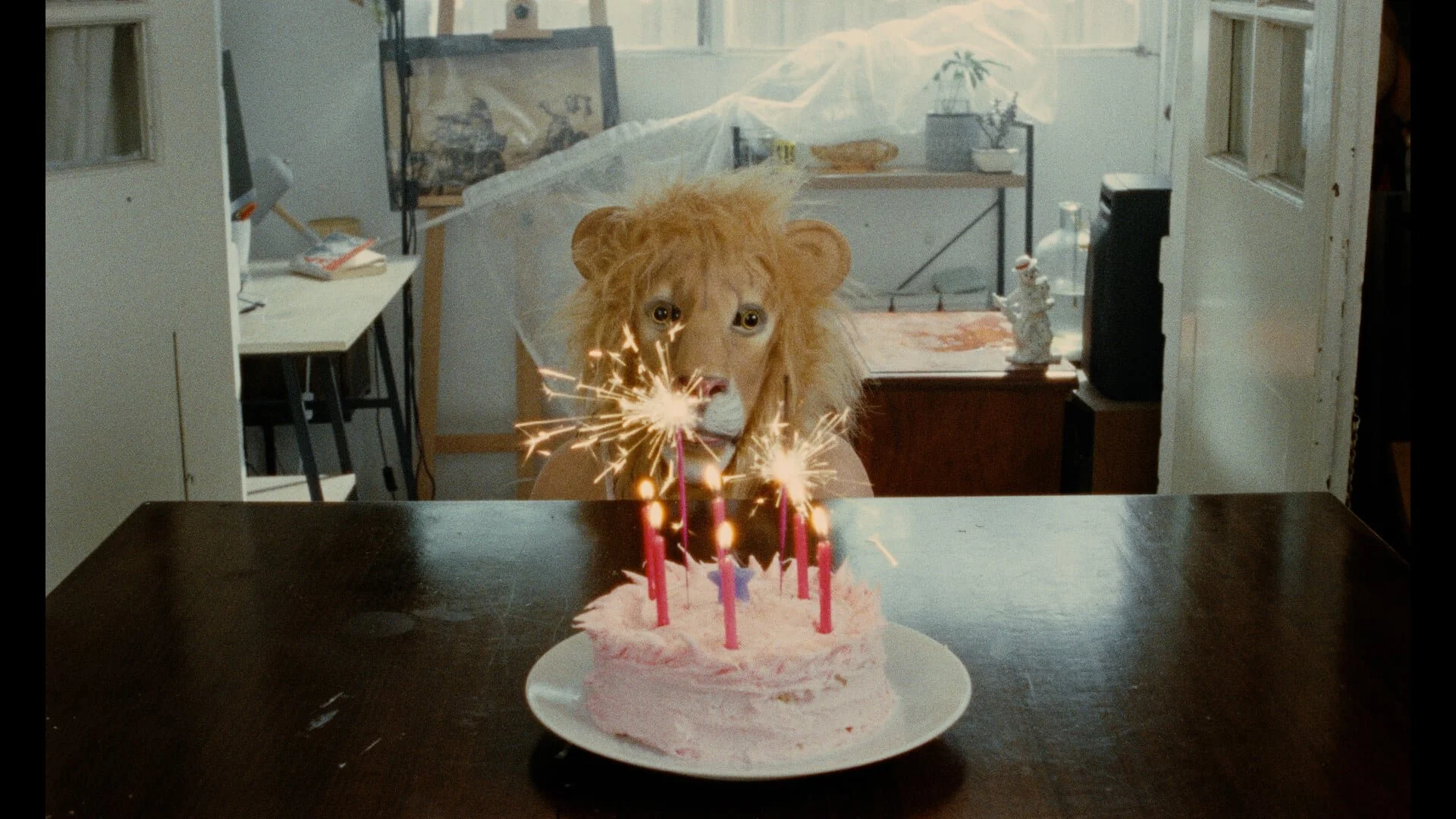 Photo 6 FP_Still_2.jpg