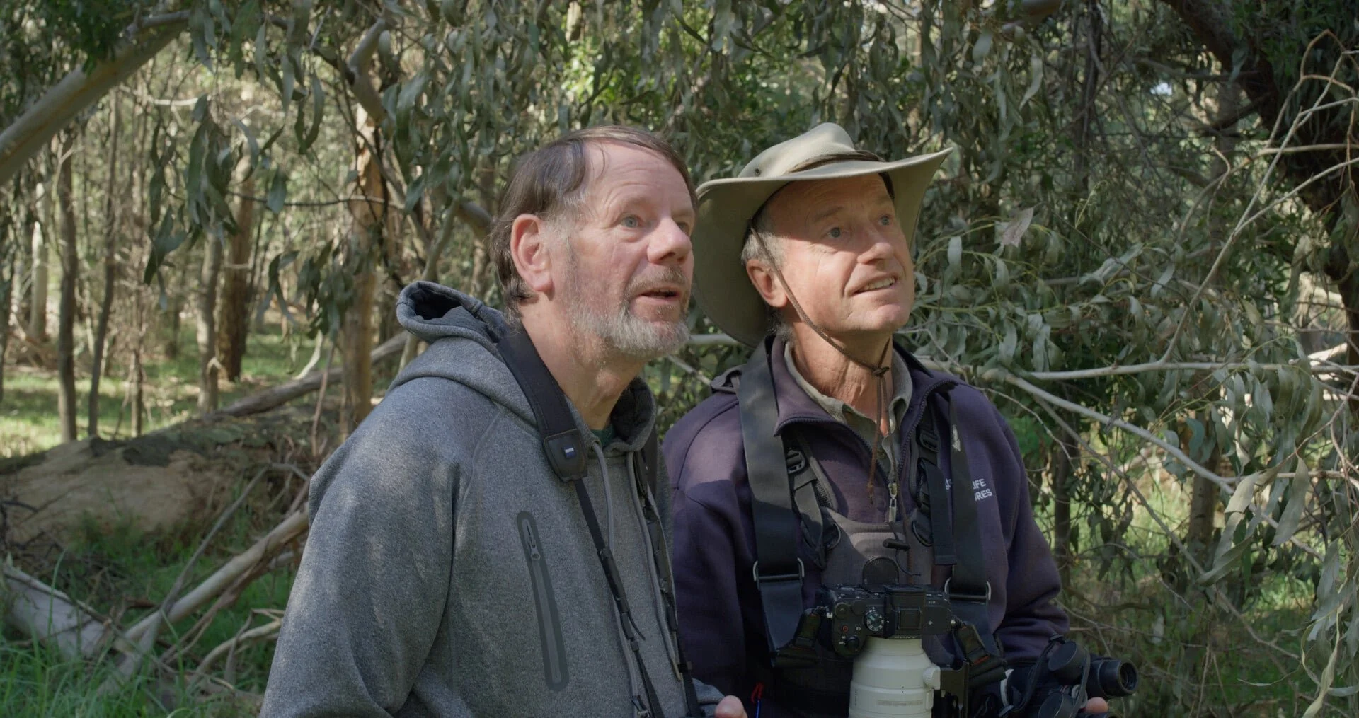 Photo 2 Still_2.jpg