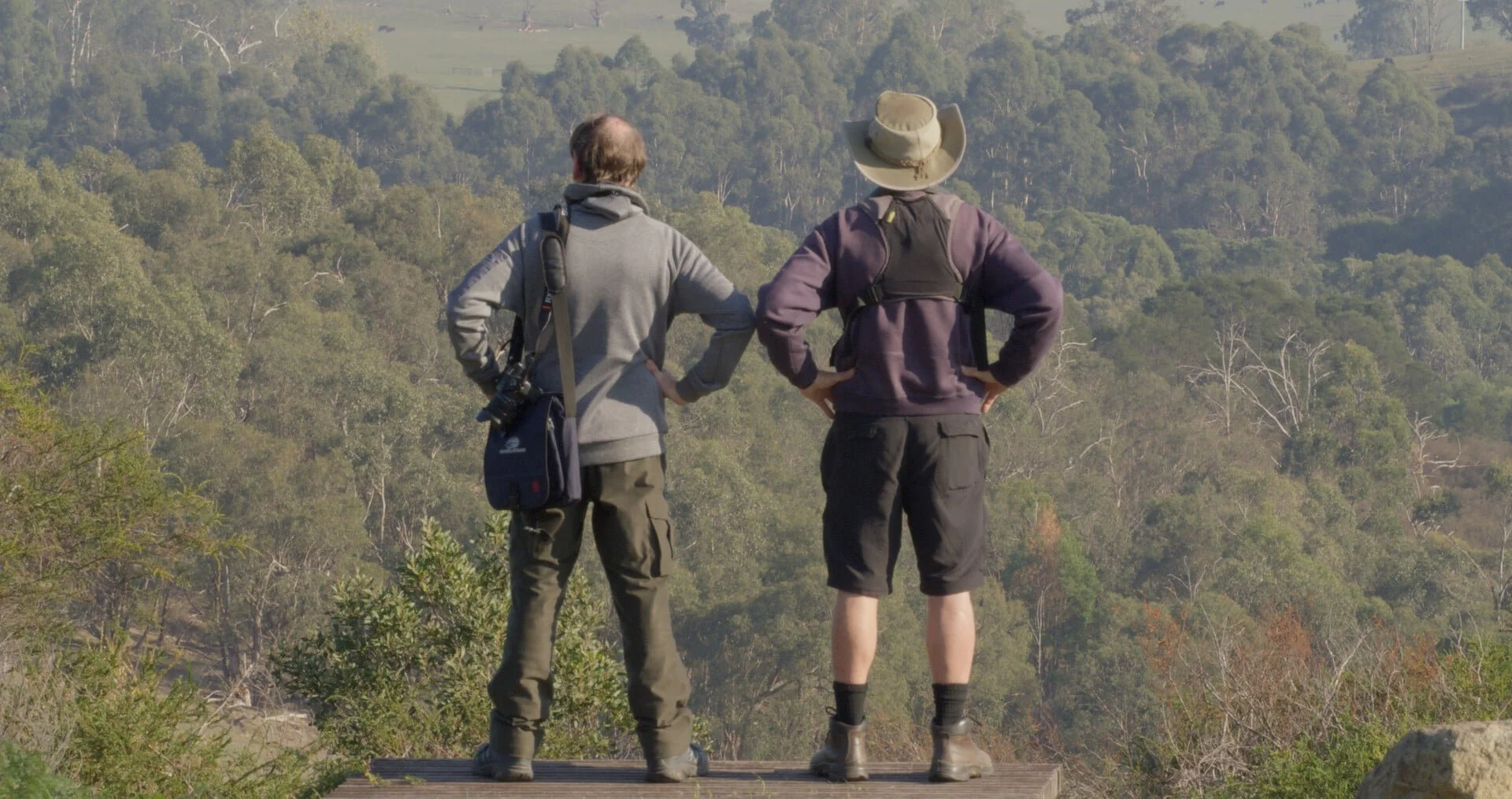 Photo 1 Still_1.jpg