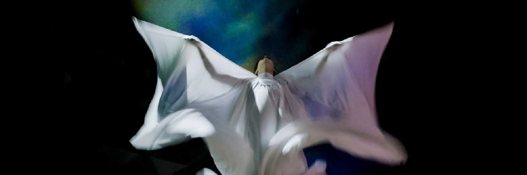 _13_The Extraordinary Miss Flower_(1680x560).jpg