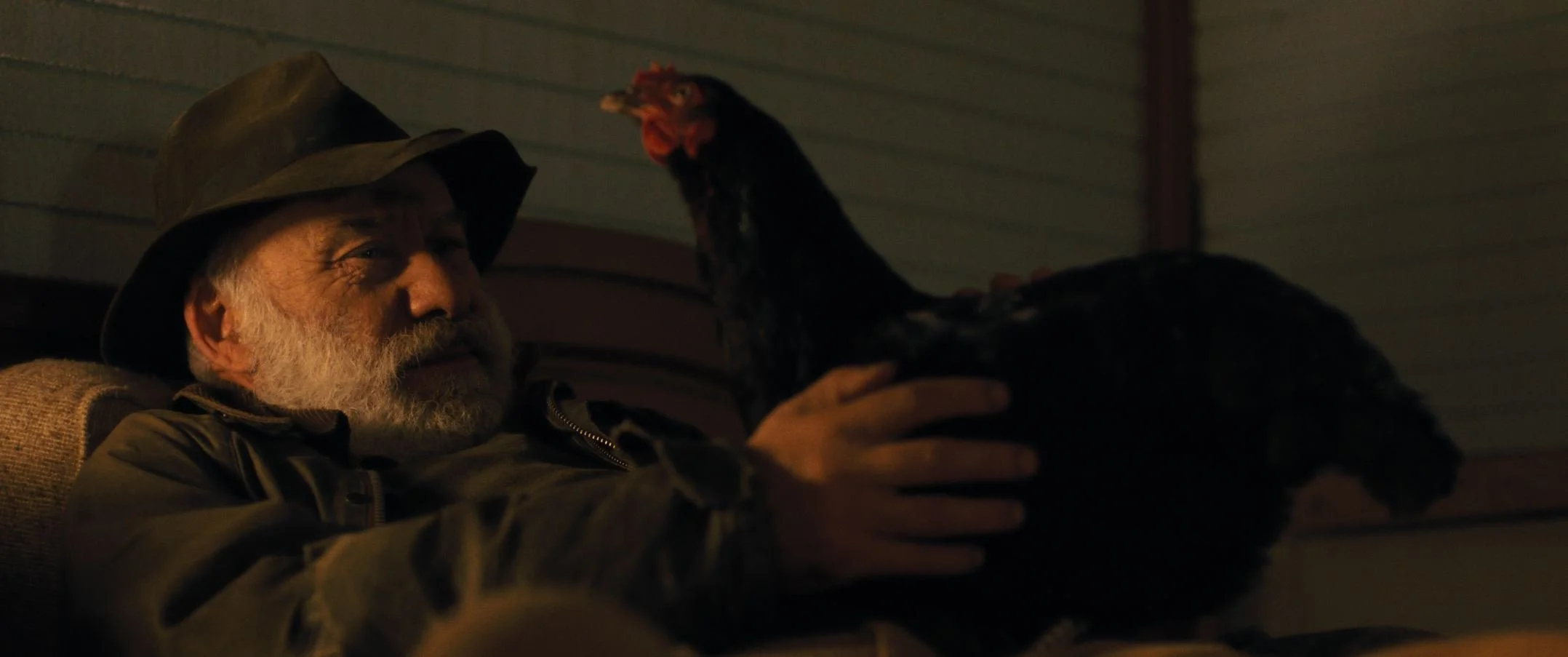 hen 9 snip.JPG