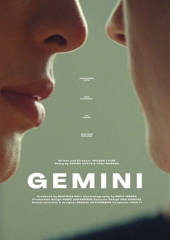 Poster for the film 'Gemini'