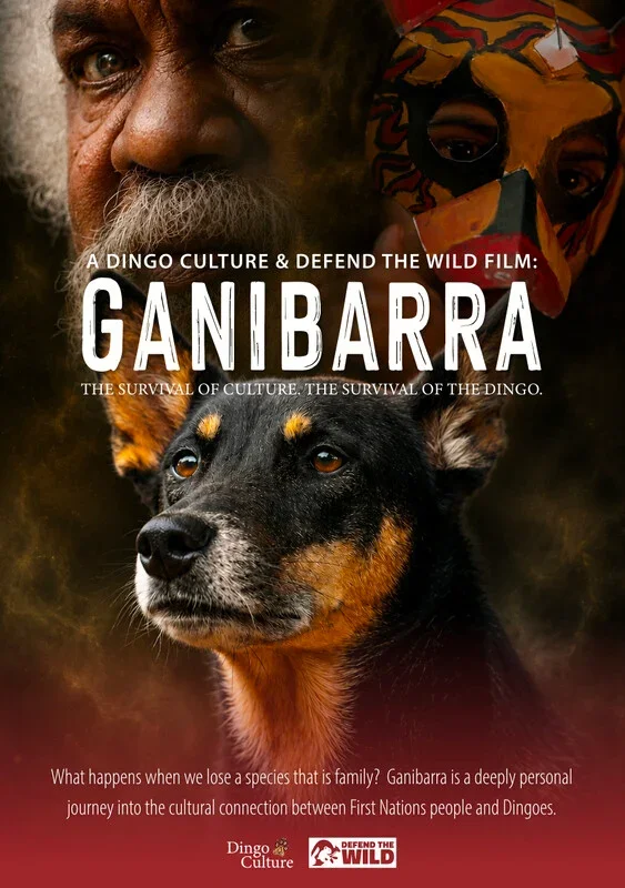Poster for the film "Ganibarra"