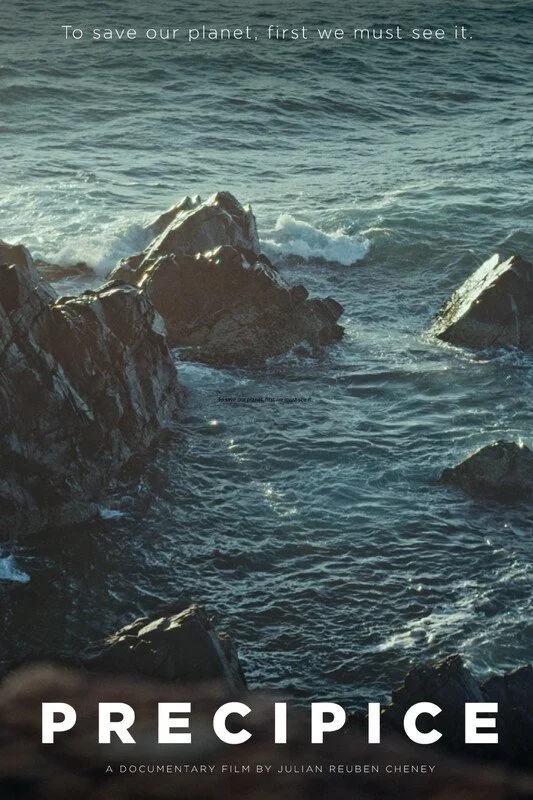 Poster for the film "Precipice"