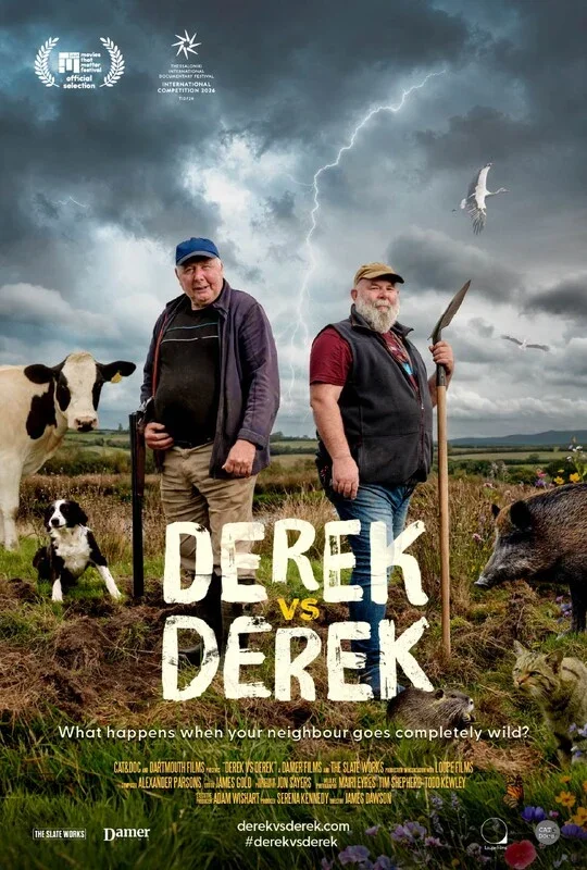 Poster for the film "Derek vs Derek"