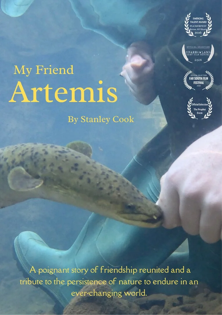 Poster for the film "My Friend Artemis"