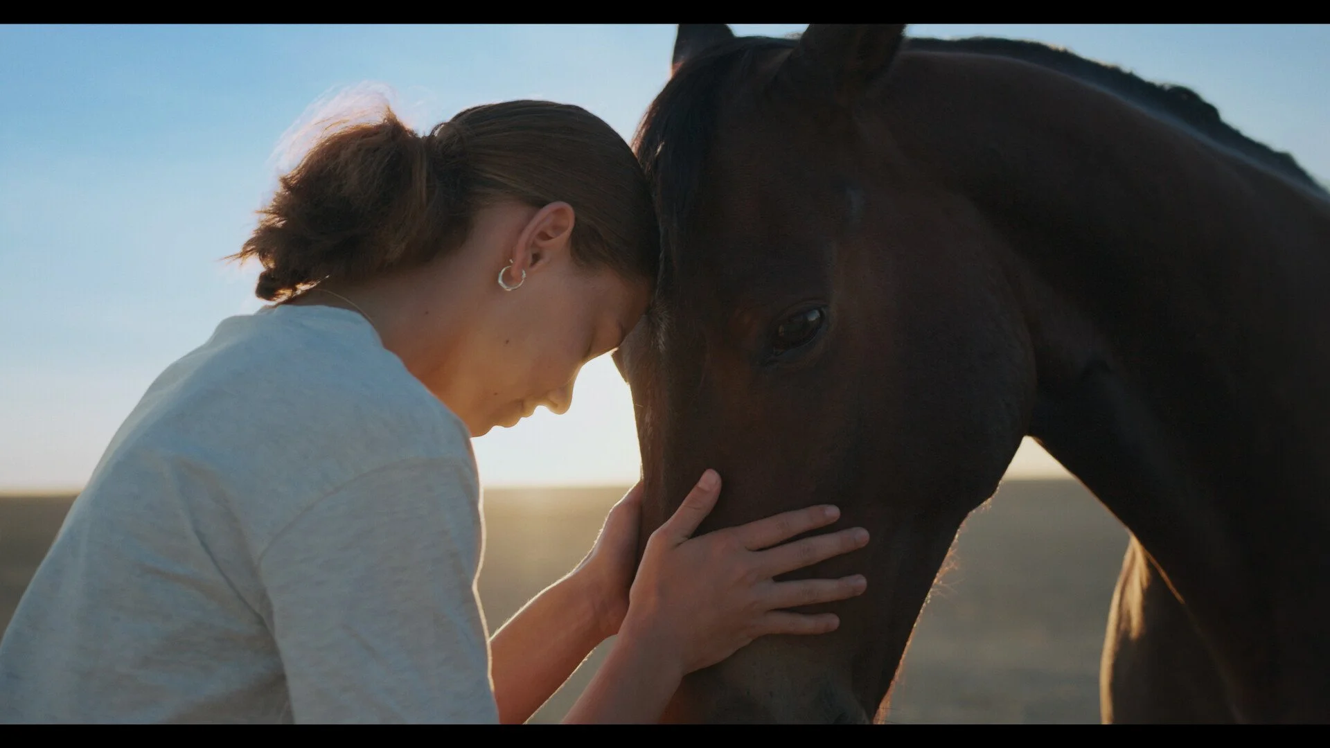 GUIDED BY HORSES + Q&A