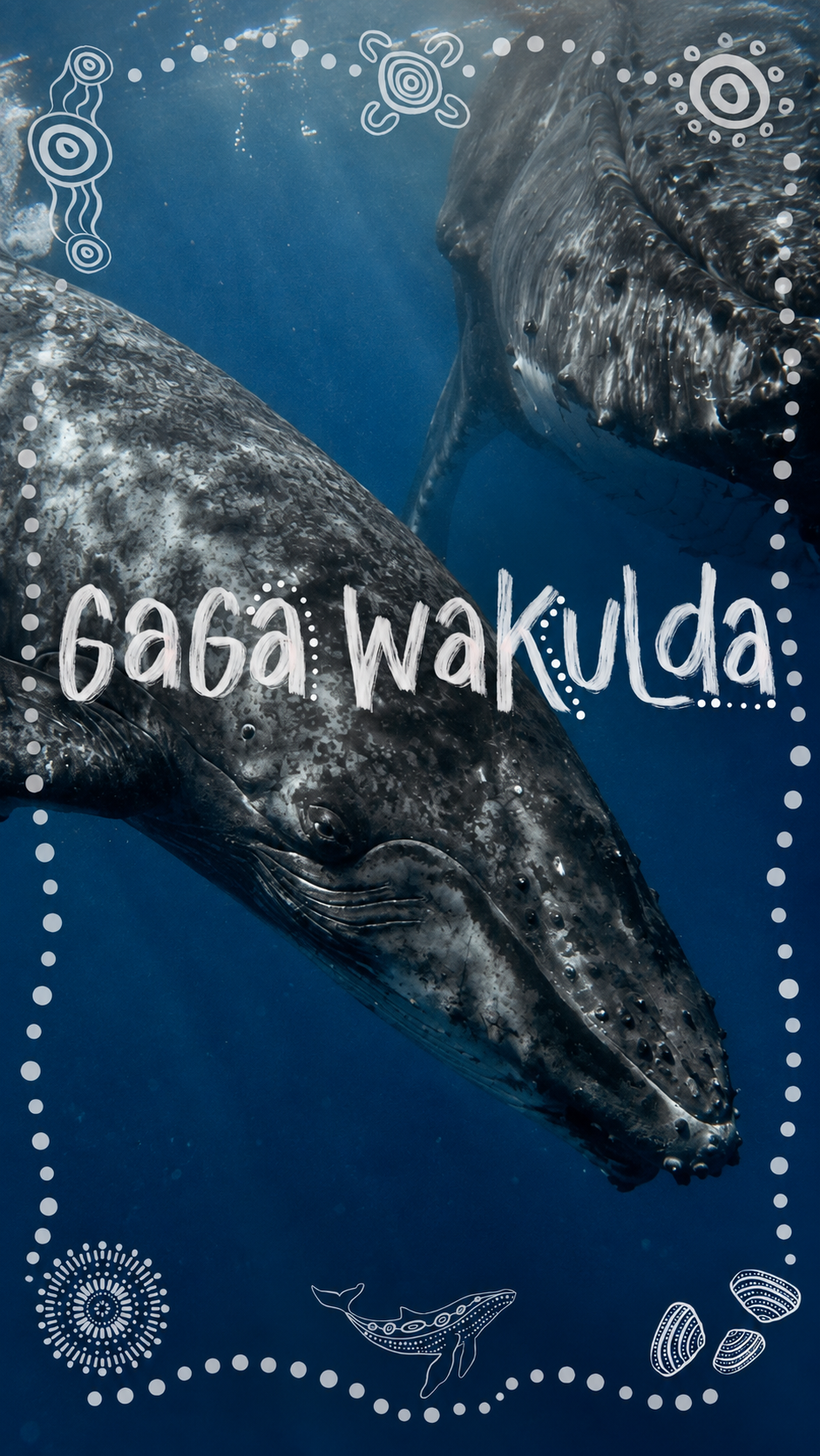 Poster for the film "Gaga Wakulda"