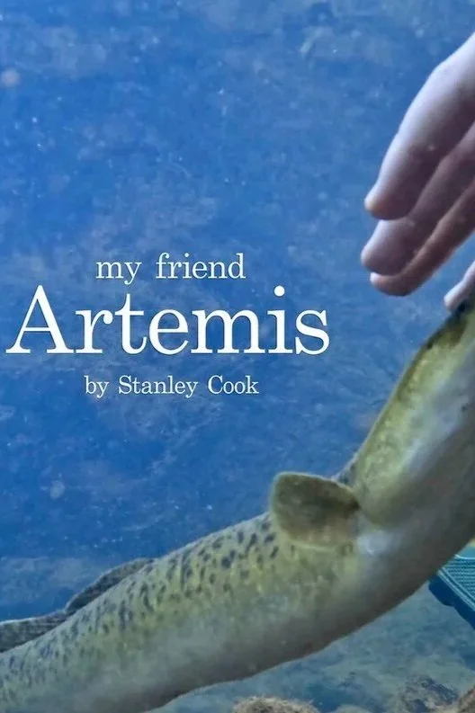 Poster for the film "My Friend Artemis"