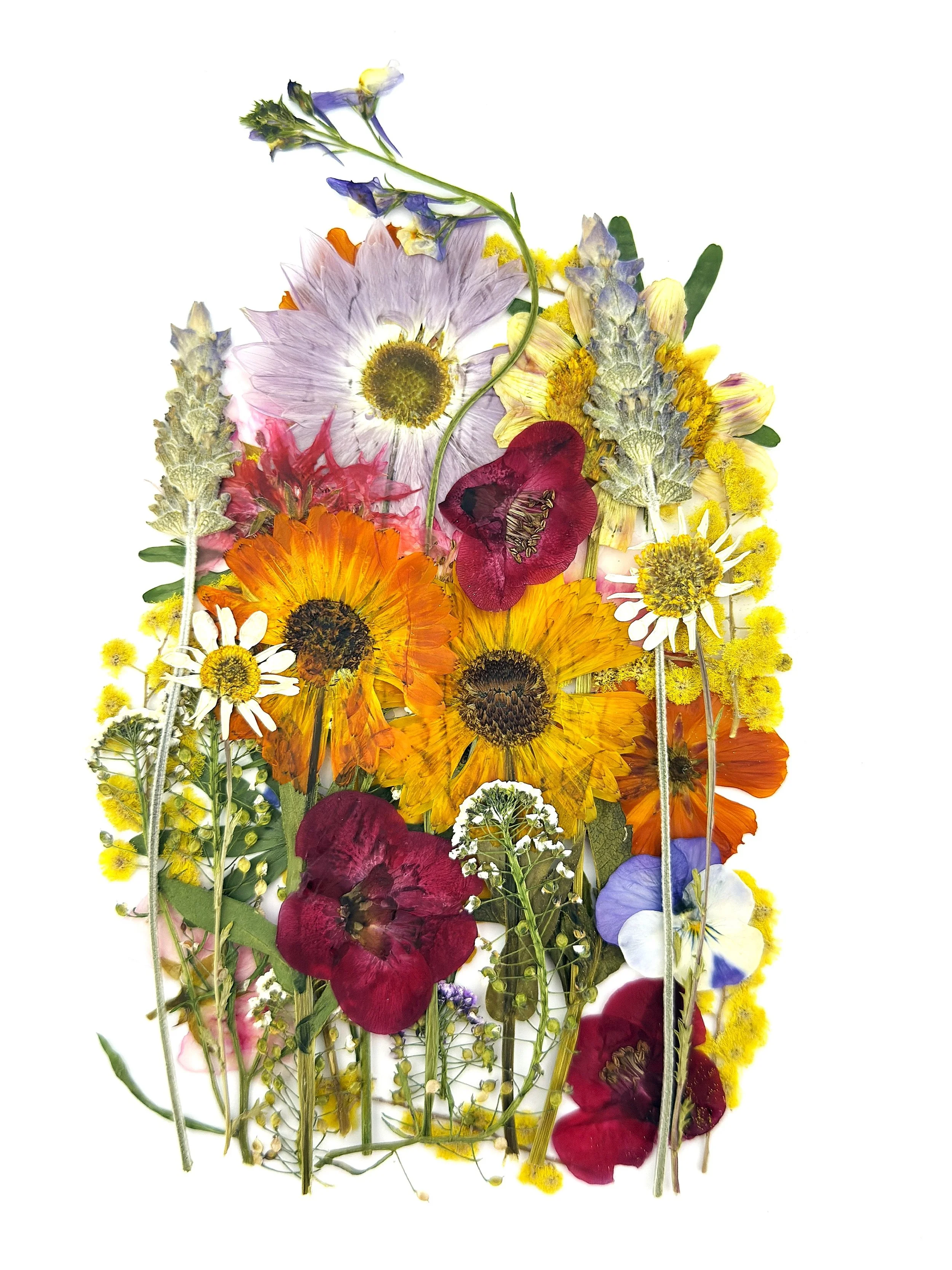 Pressed flower cards 3.jpeg