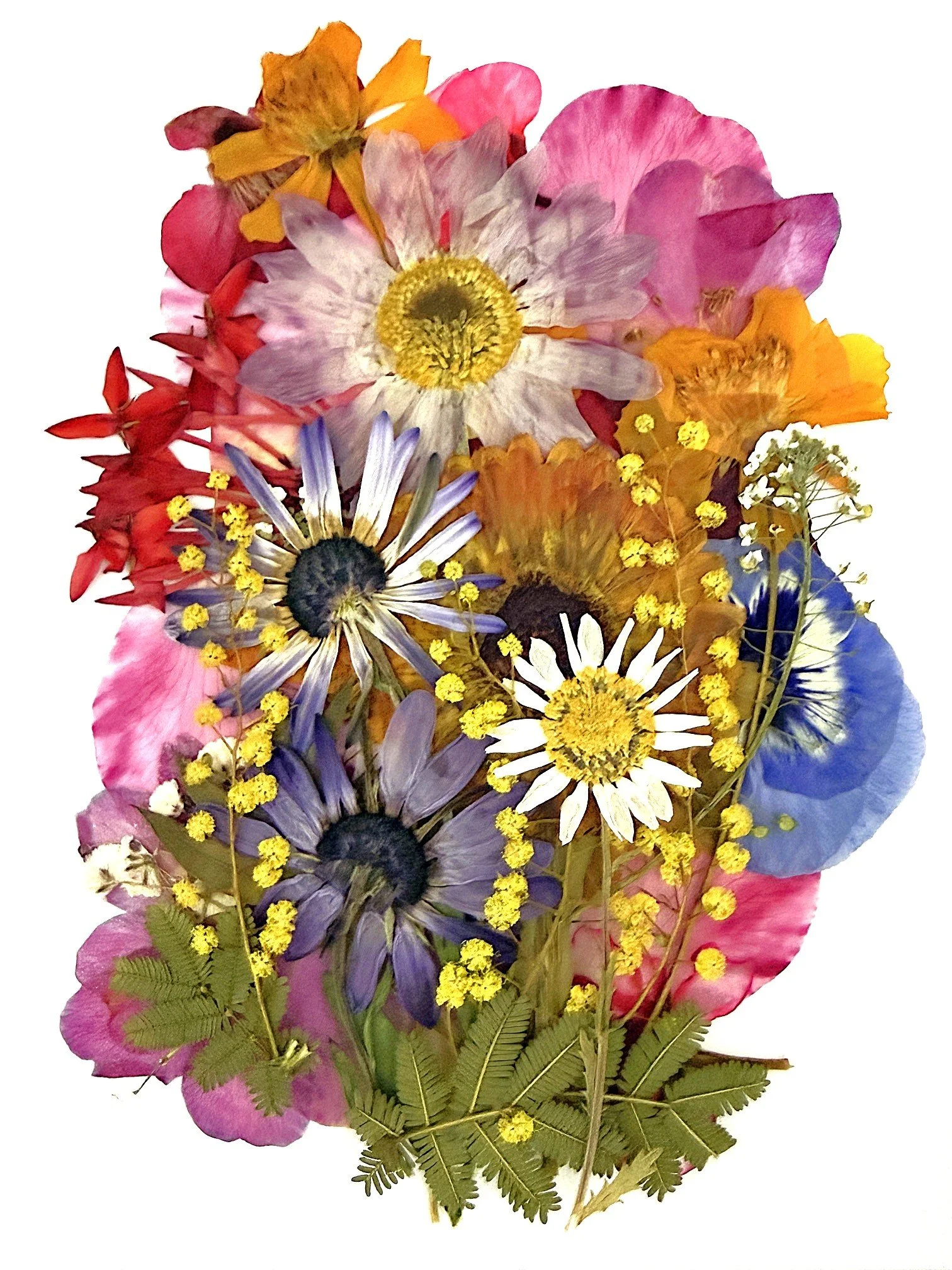 Pressed flower cards 2.jpeg