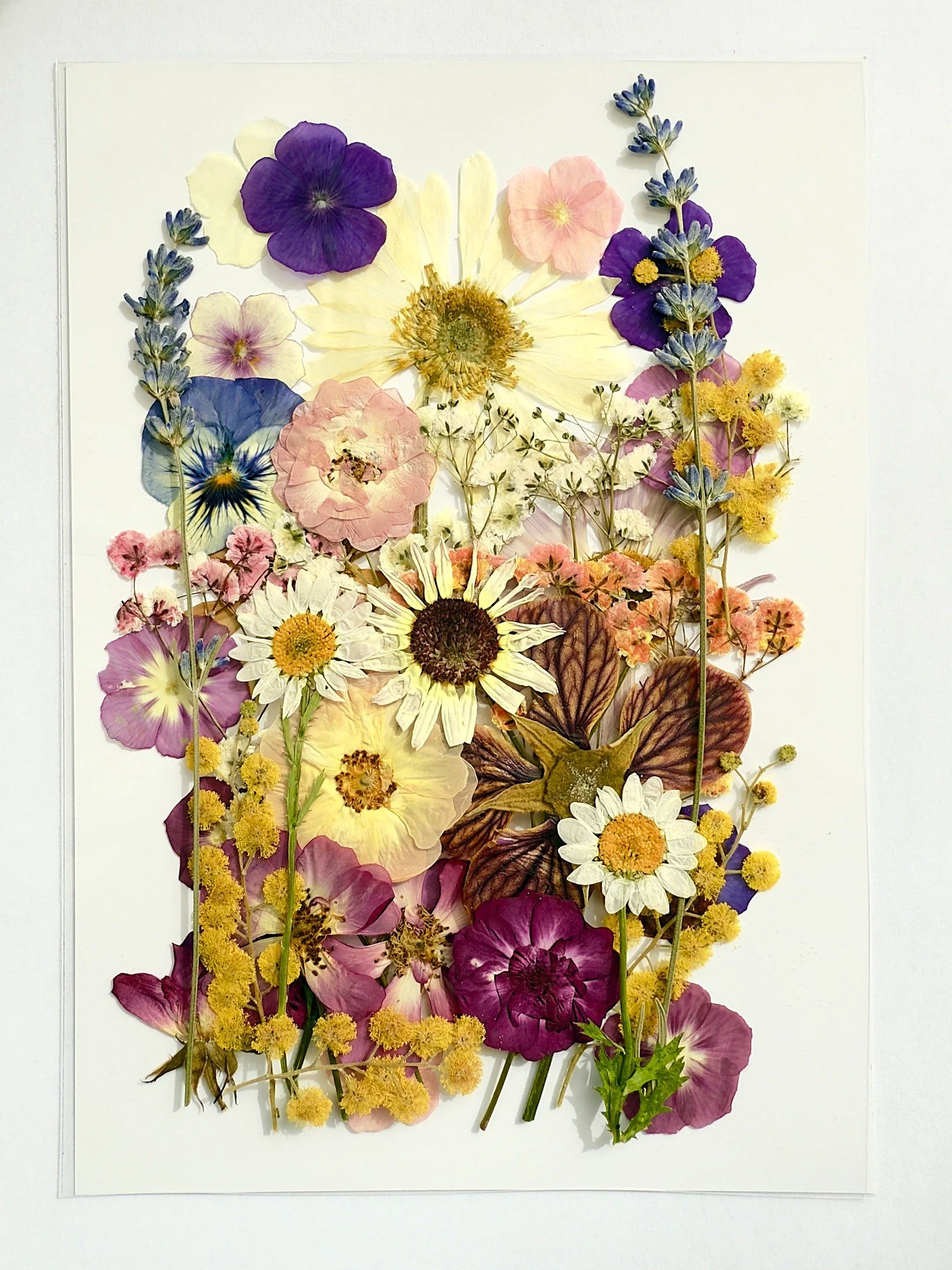 Pressed flower card 5.jpeg