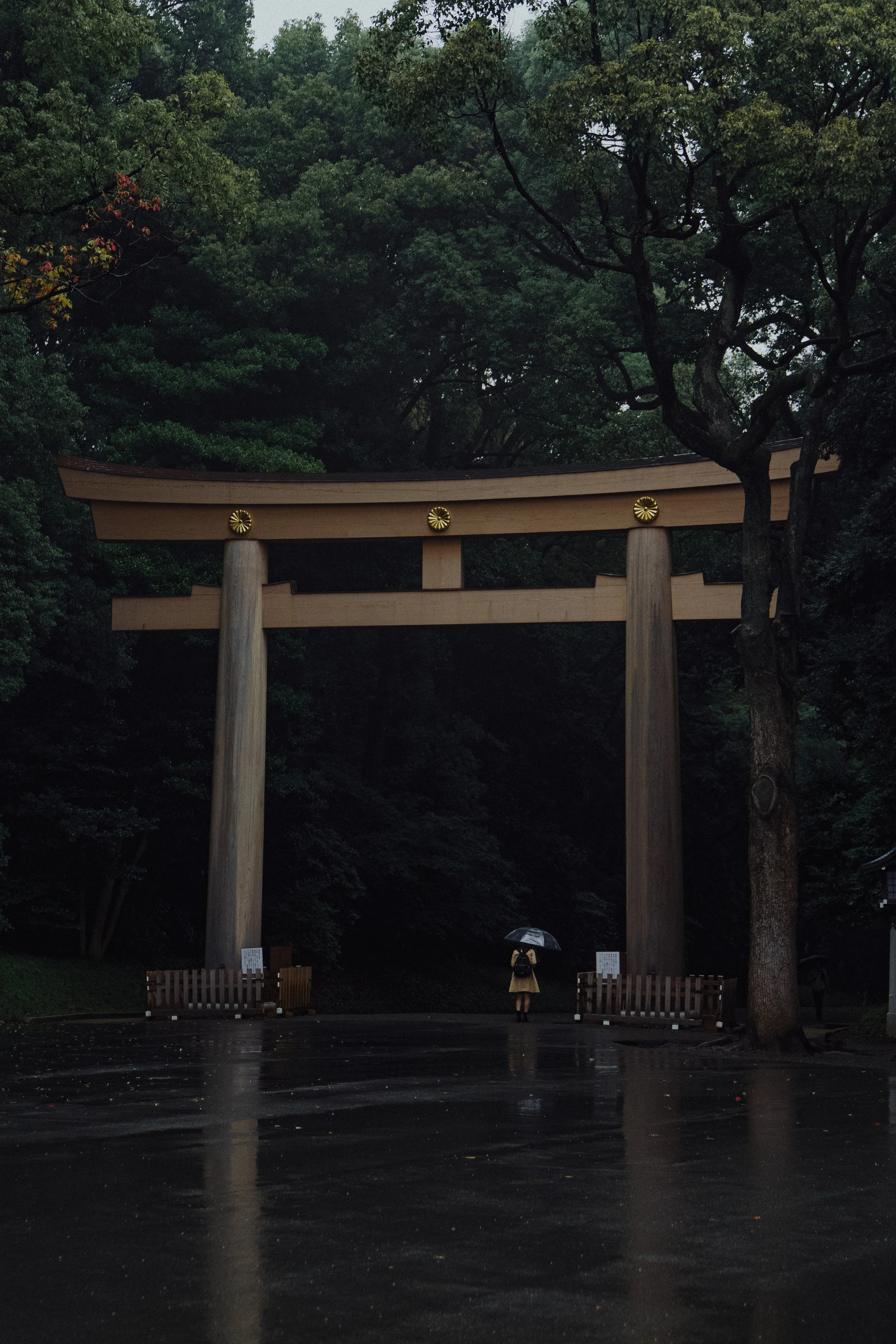 Japan24'-126.jpg