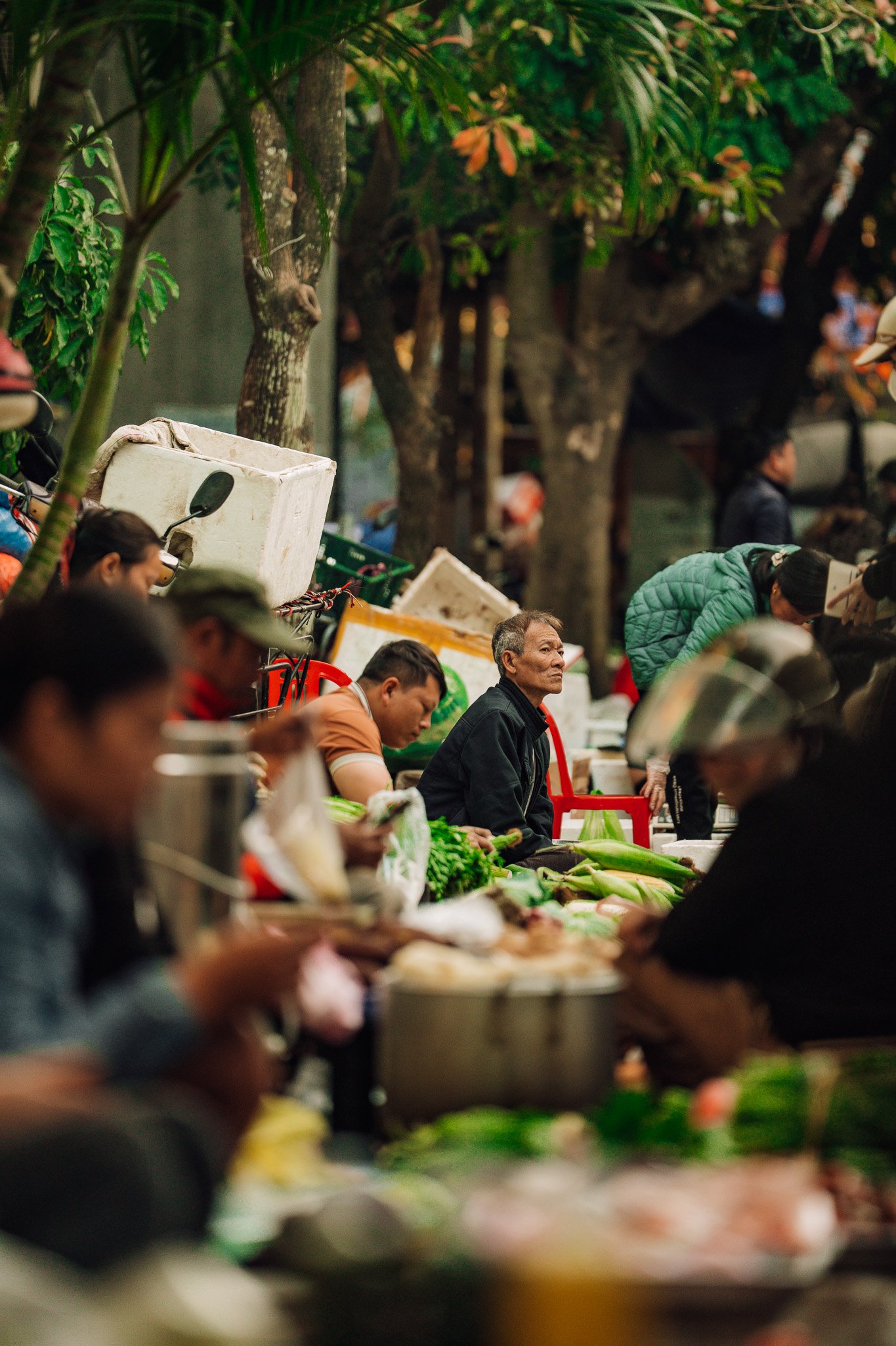Vietnam_SquareSpace-50.jpg