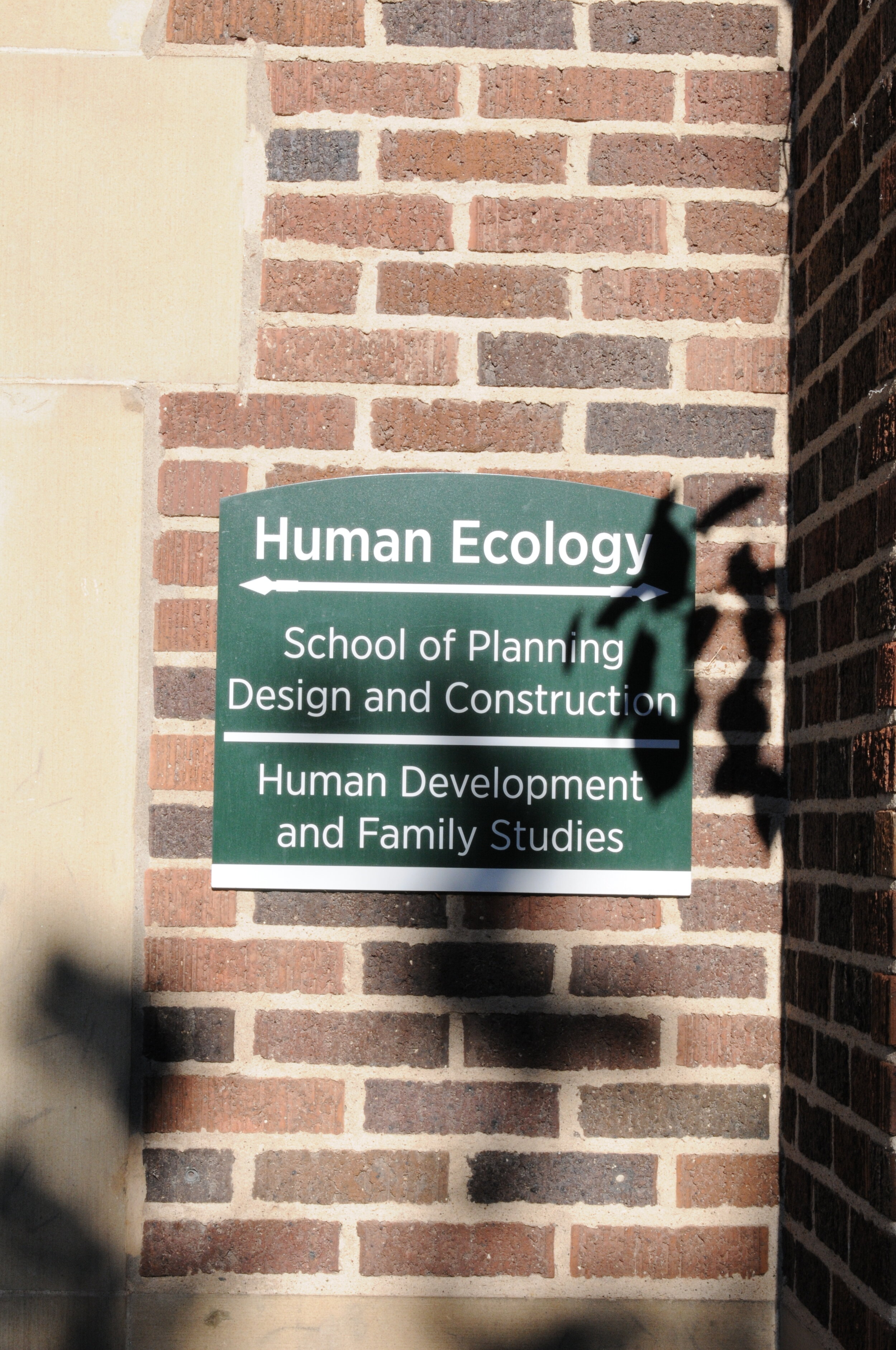 Human Ecology_2.JPG