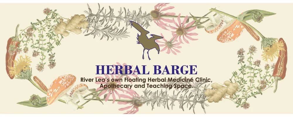 Stormvogel The Herbal Barge Moors Up Canal Side For A New Monthly Residency