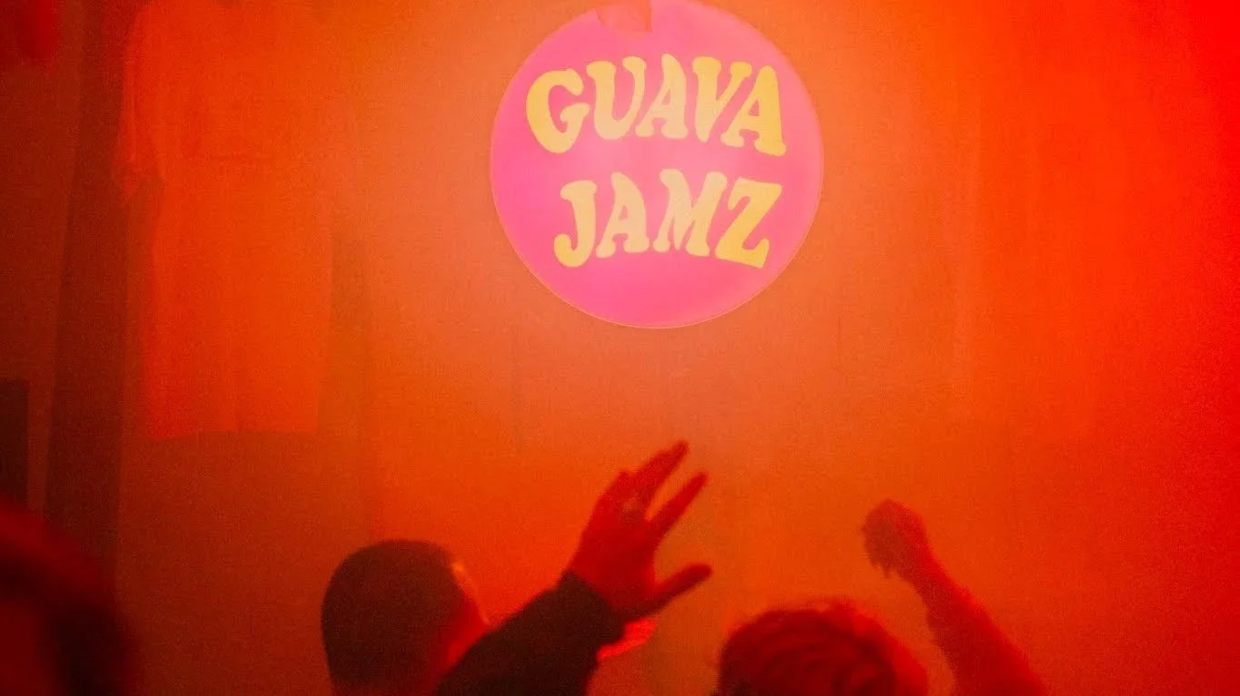 GUAVA JAMZ: ARIANE V //&nbsp;BEAVS // IDAH (SOULFUL HOUSE // DISCO)