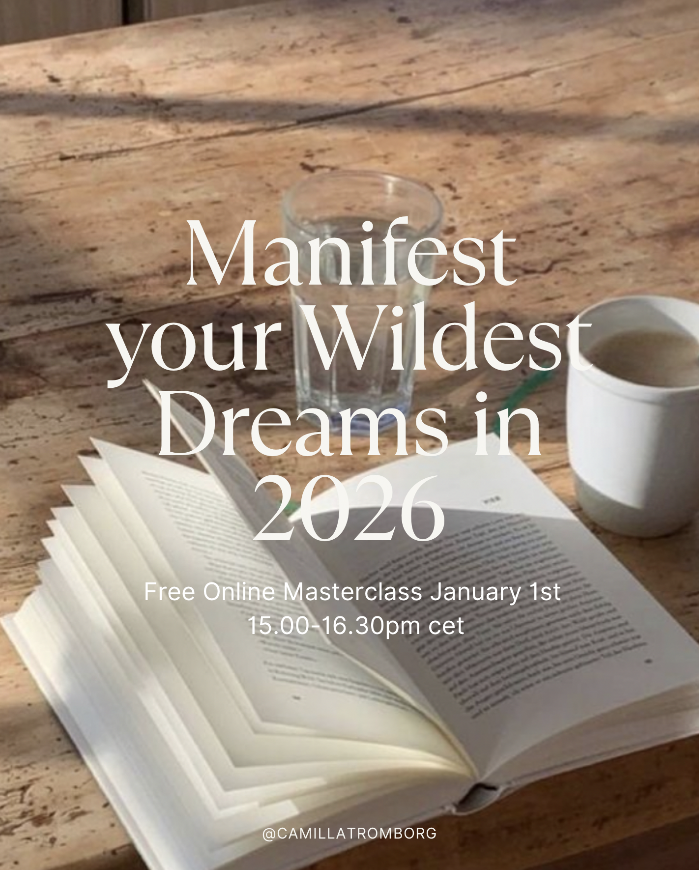 Skærmbillede 2025-12-14 kl. 15.43.11.png