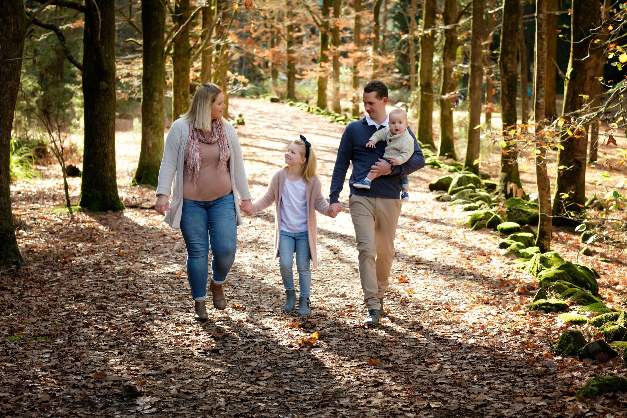 Hollybank Forest Reserve