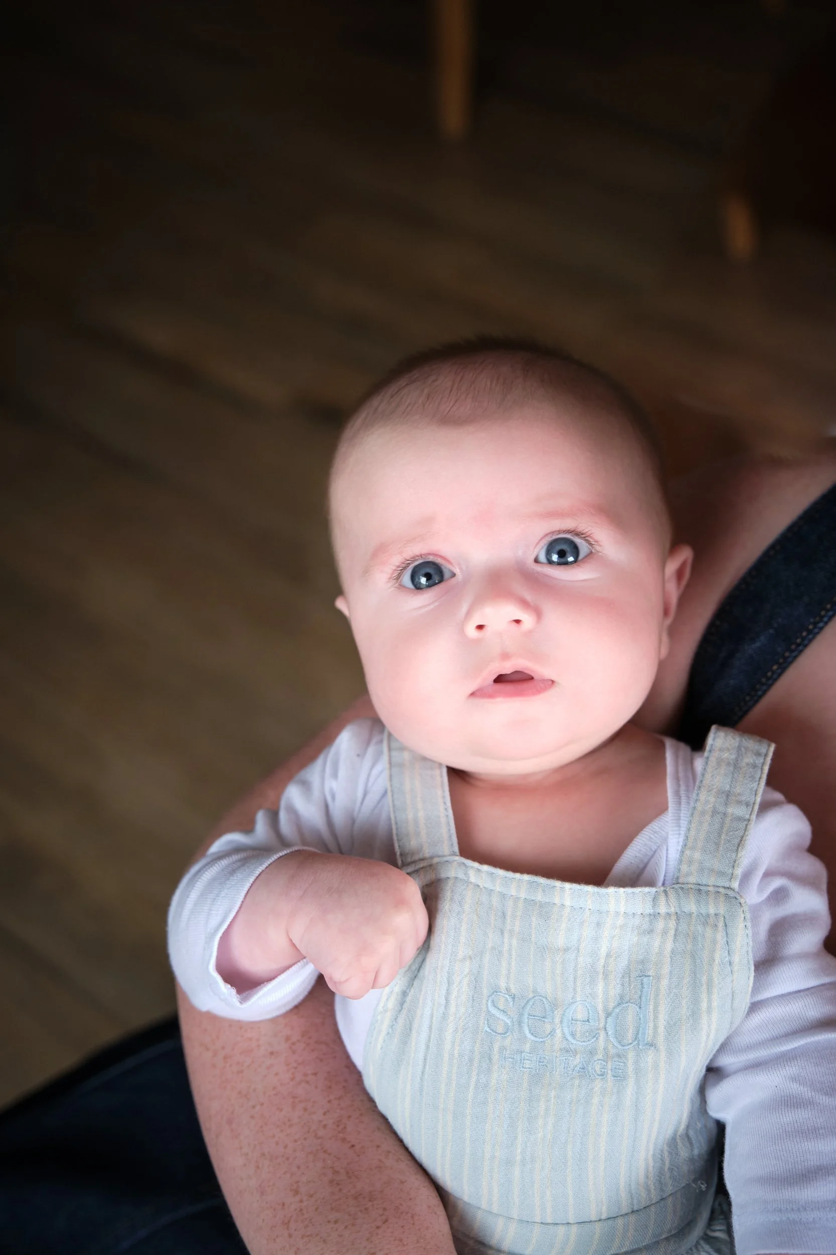 003 Sondergeld 25.jpg