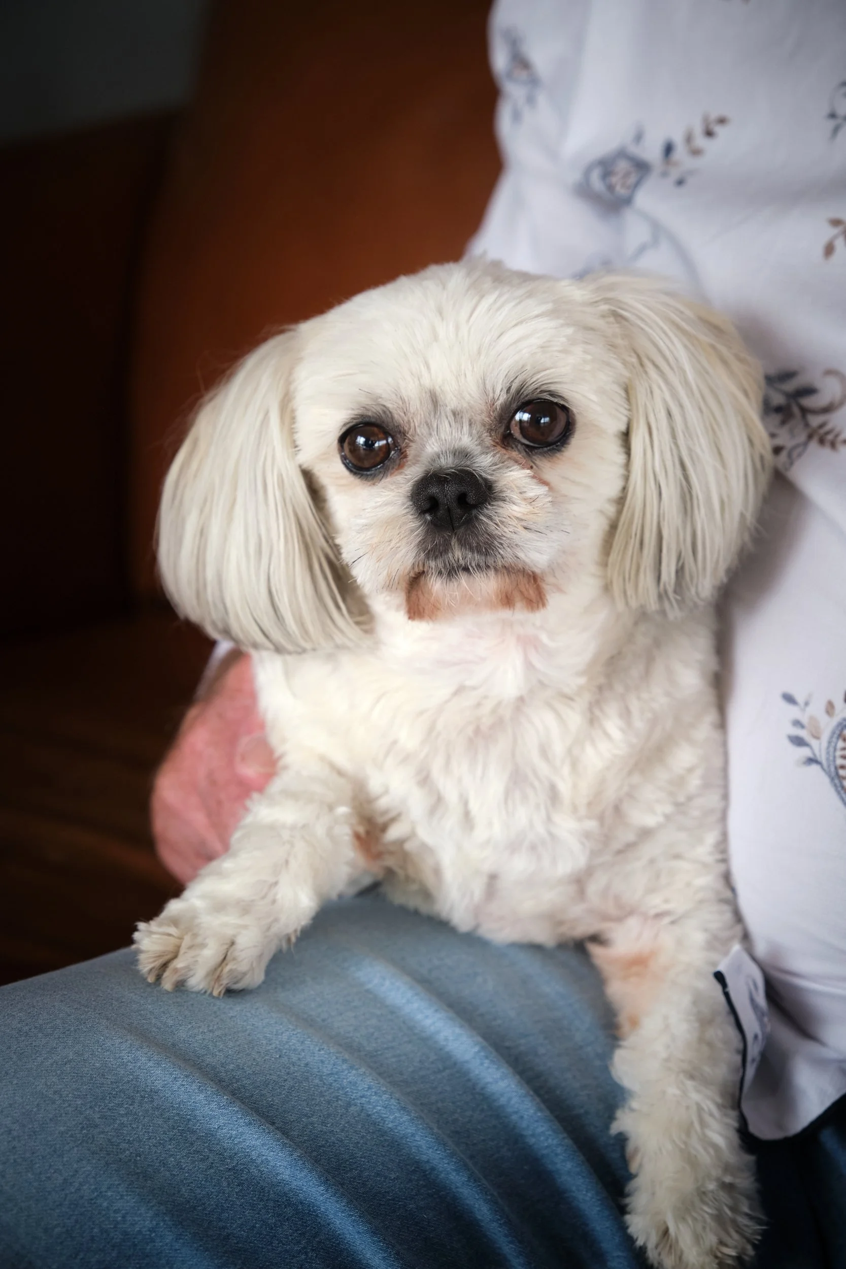 1459 Sondergeld 25.jpg