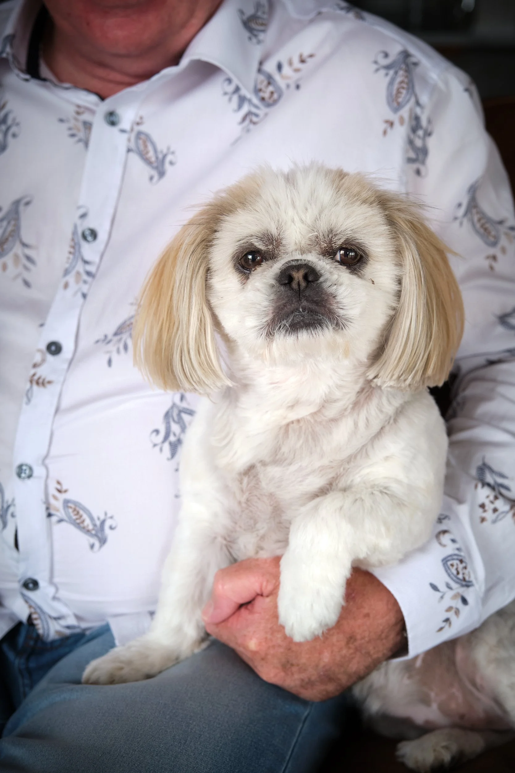 1449 Sondergeld 25.jpg