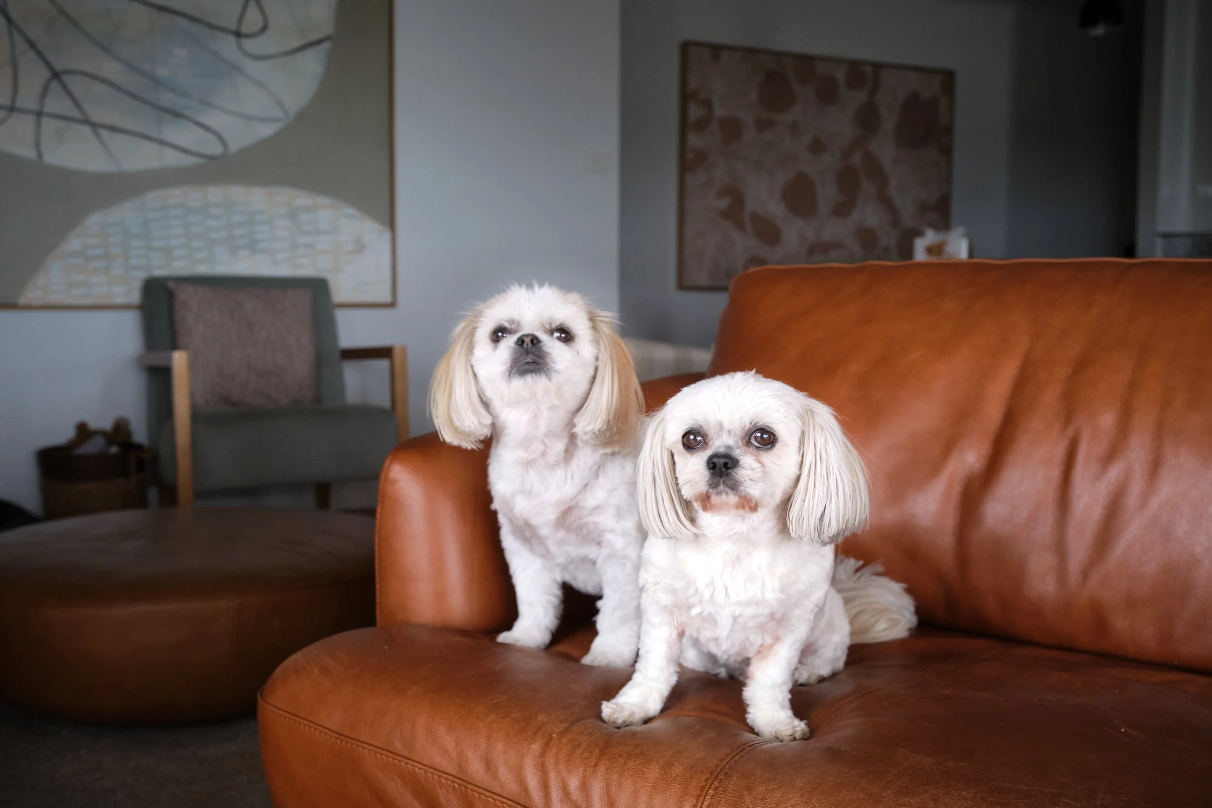 1497 Sondergeld 25.jpg