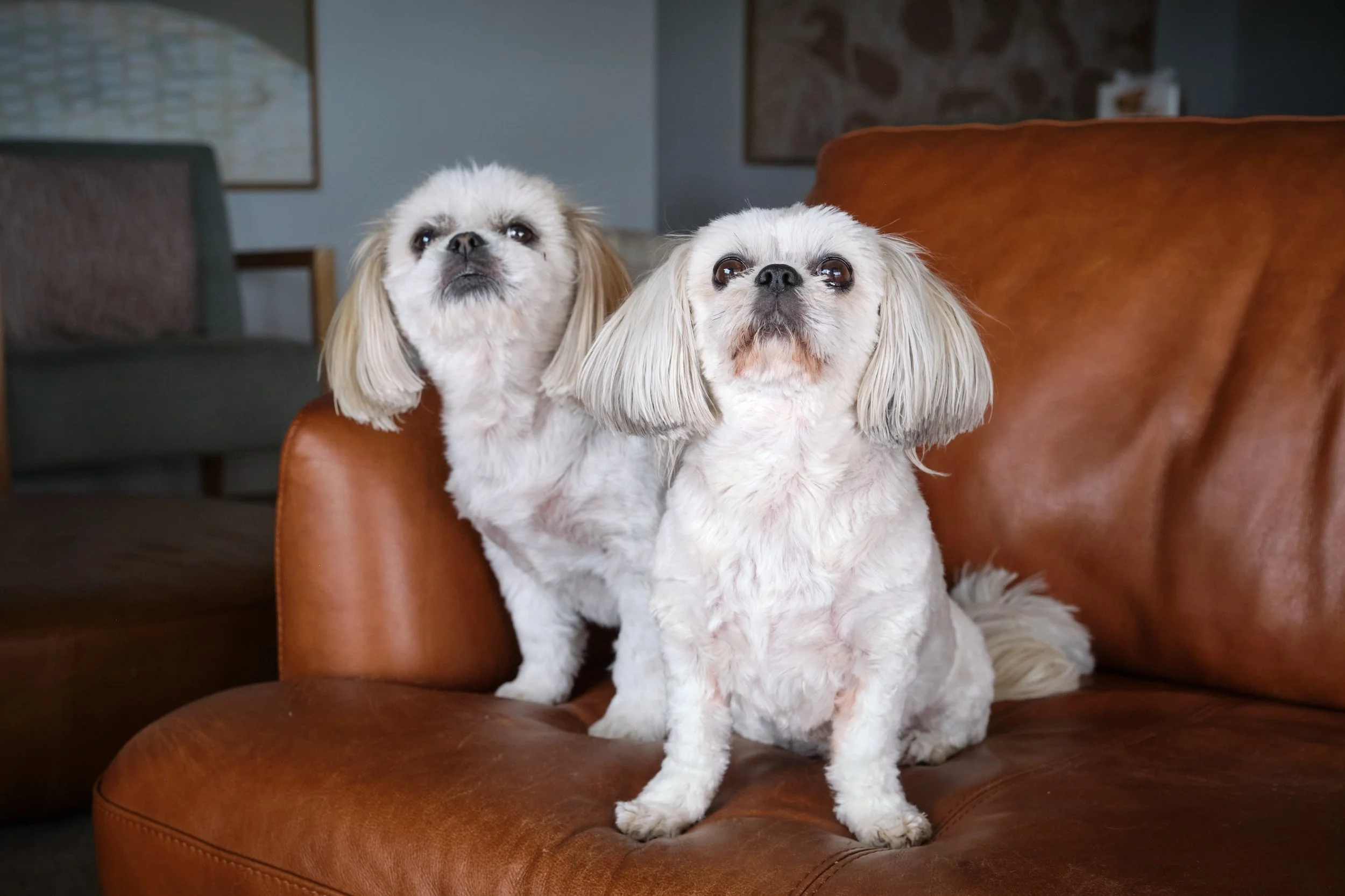 1487 Sondergeld 25.jpg